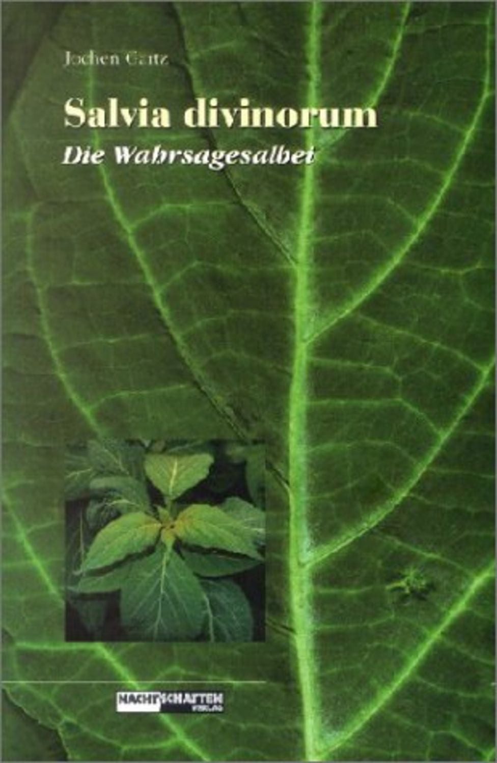 Salvia Divinorum Die Wahrsagesalbei / Jochen Gartz