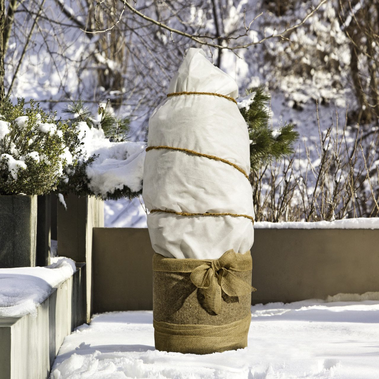 Windhager Wintervlies Windhager Winterschutz für Pflanzen Vlies 1 x 2,5