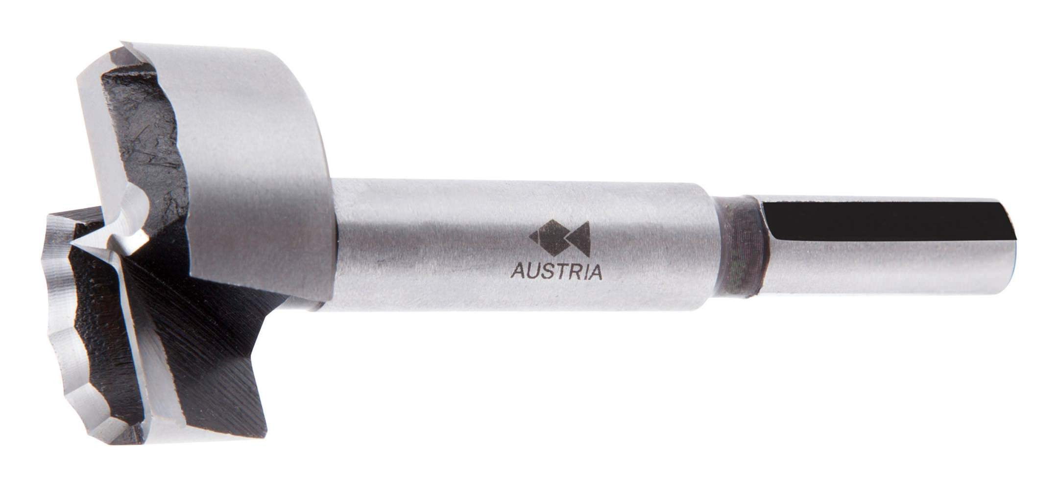 PAULIMOT Forstnerbohrer 6 Mm – Länge 90 Mm, Einspannschaft 8 Mm, Für Weiche & Mittelharte Hölzer