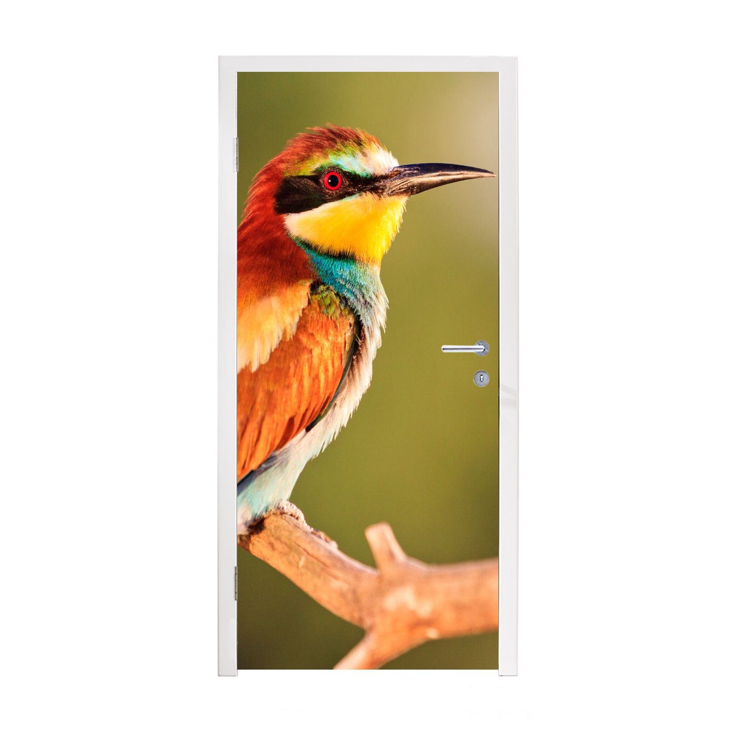 MuchoWow Türtapete Vögel - Bienenfresser - Regenbogen - Tiere, Matt, bedruckt, (1 St), Fototapete für Tür, Türaufkleber, 75x205 cm