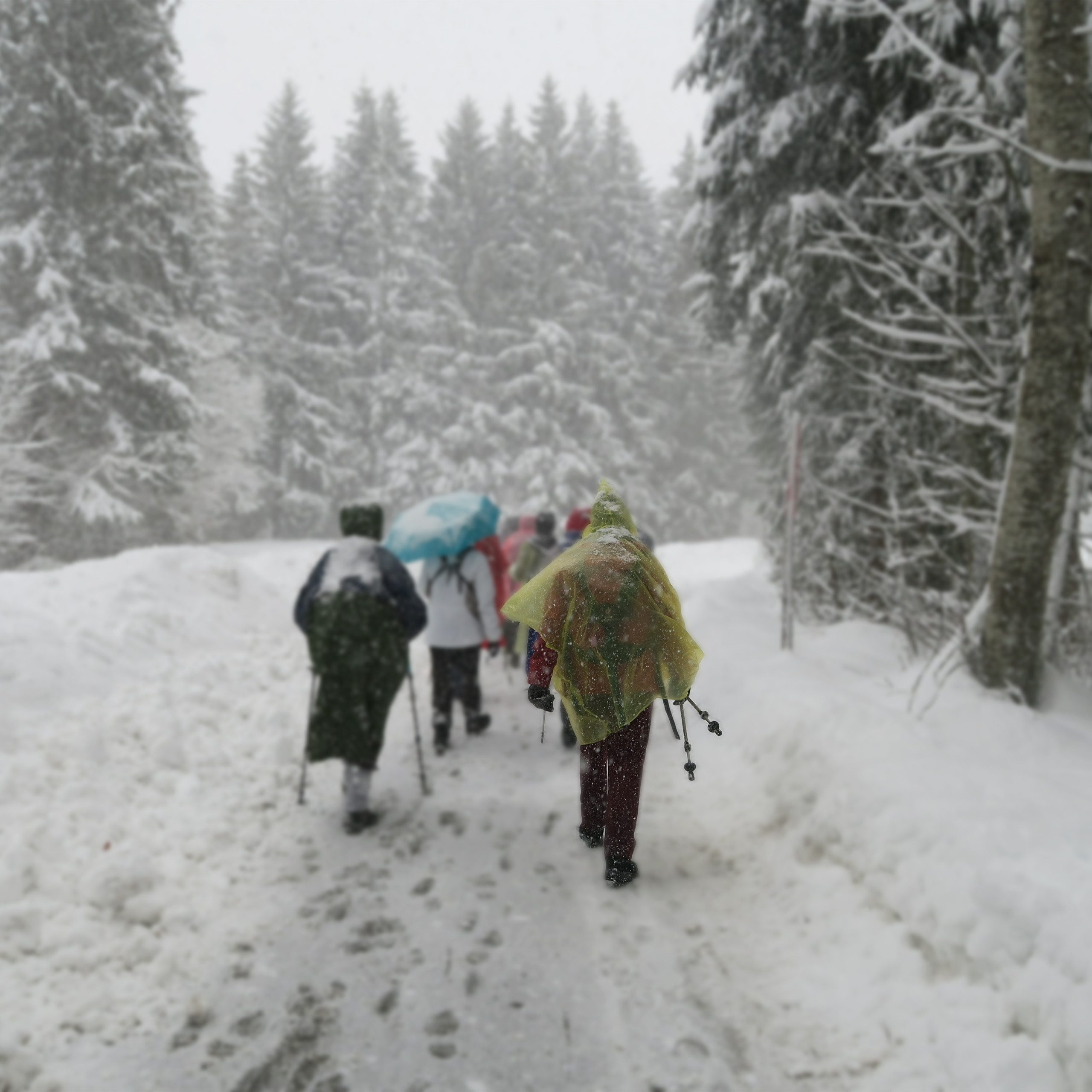 relaxdays Regenponcho Einweg Regenponcho 10er Set gelb günstig online kaufen