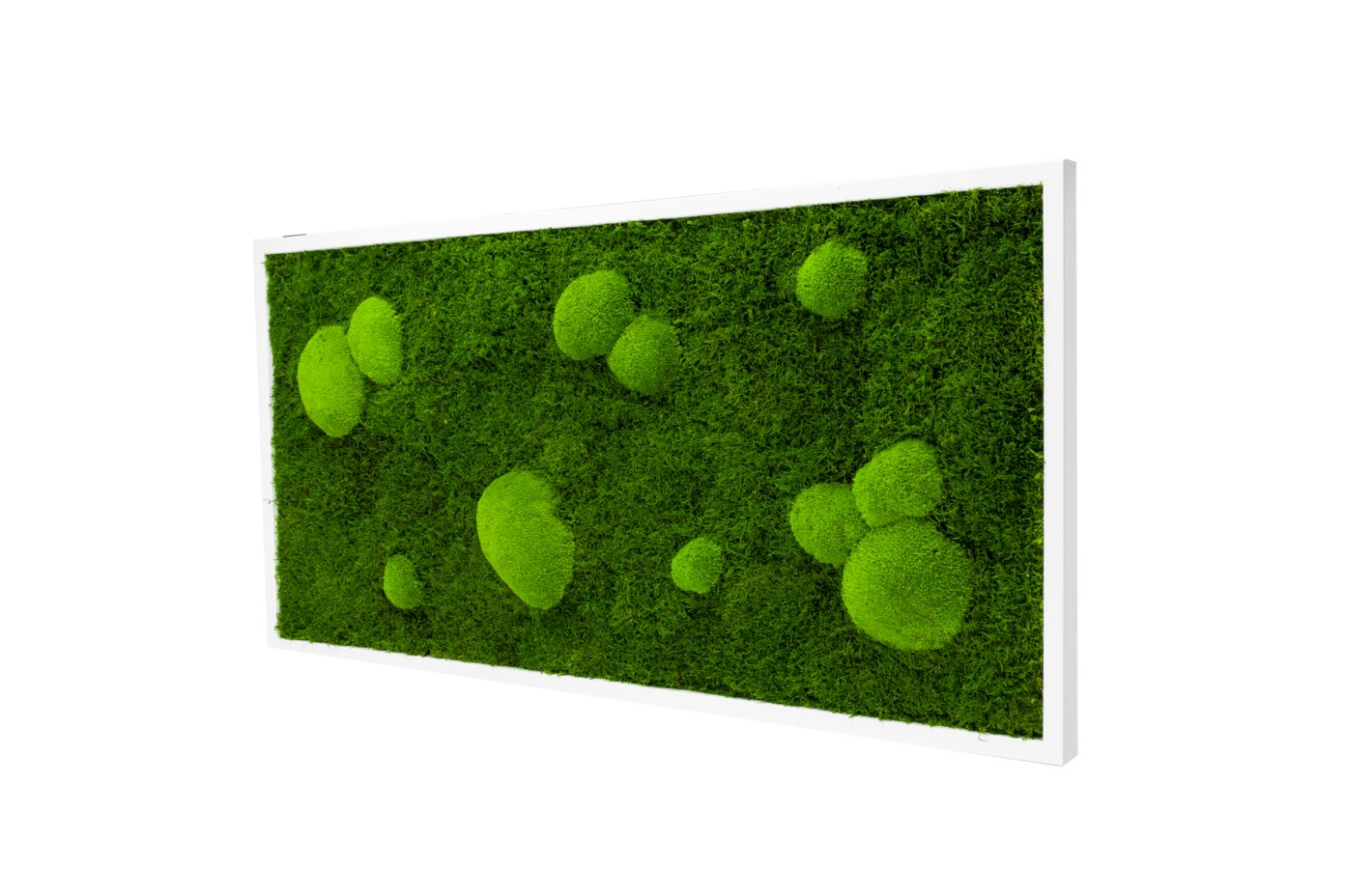 Moos-Design Bilderrahmen Moos Bild Forest Design günstig online kaufen