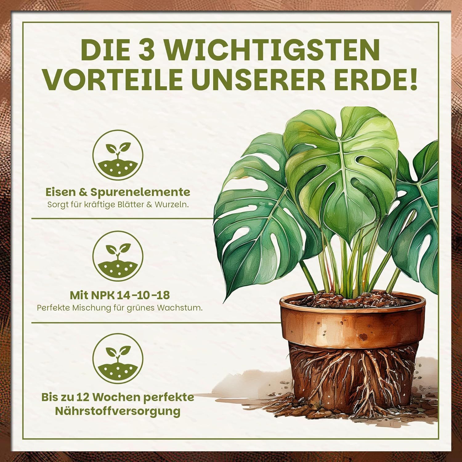 GREEN HOME LOVE NATURE Spezialerde Monstera Erde – Substrat für Monstera, Aroiden & Zimmerpflanzen 18 L, 36 L, 72 L, Langzeitdünger, Perlit, Kokosfasern, pH 5,8 – Bild 4 von 5