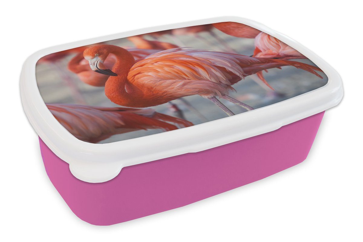 Brotbox Kunststoff, für Tiere - (2-tlg), - Mädchen, Flamingo Lunchbox Erwachsene, MuchoWow - Kunststoff Snackbox, Kinder, Brotdose Rosa, Vogel
