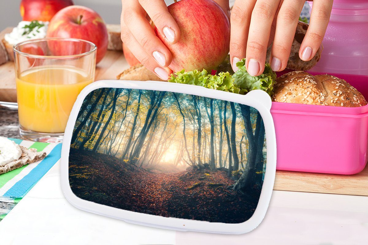 Kinder, - Herbst, Erwachsene, Brotdose Nebel Kunststoff, Sonne Kunststoff für Snackbox, Brotbox Mädchen, Wald (2-tlg), - MuchoWow Lunchbox rosa -