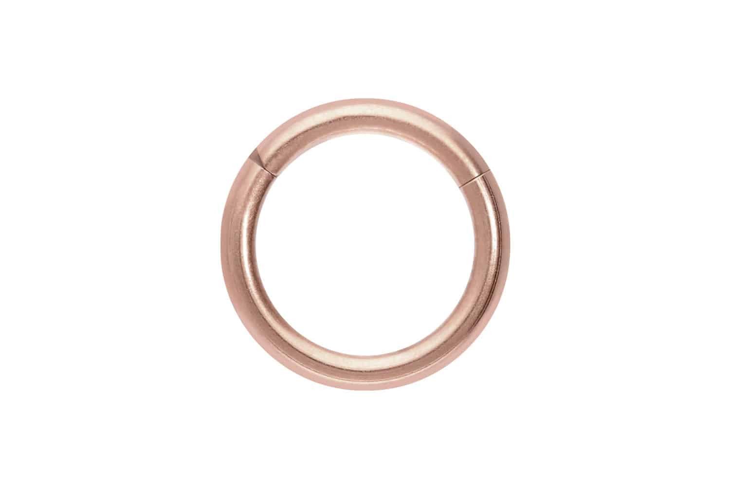 Nasenpiercing Titan Segmentring Clicker MATT Ohrpiercing Septum Nase