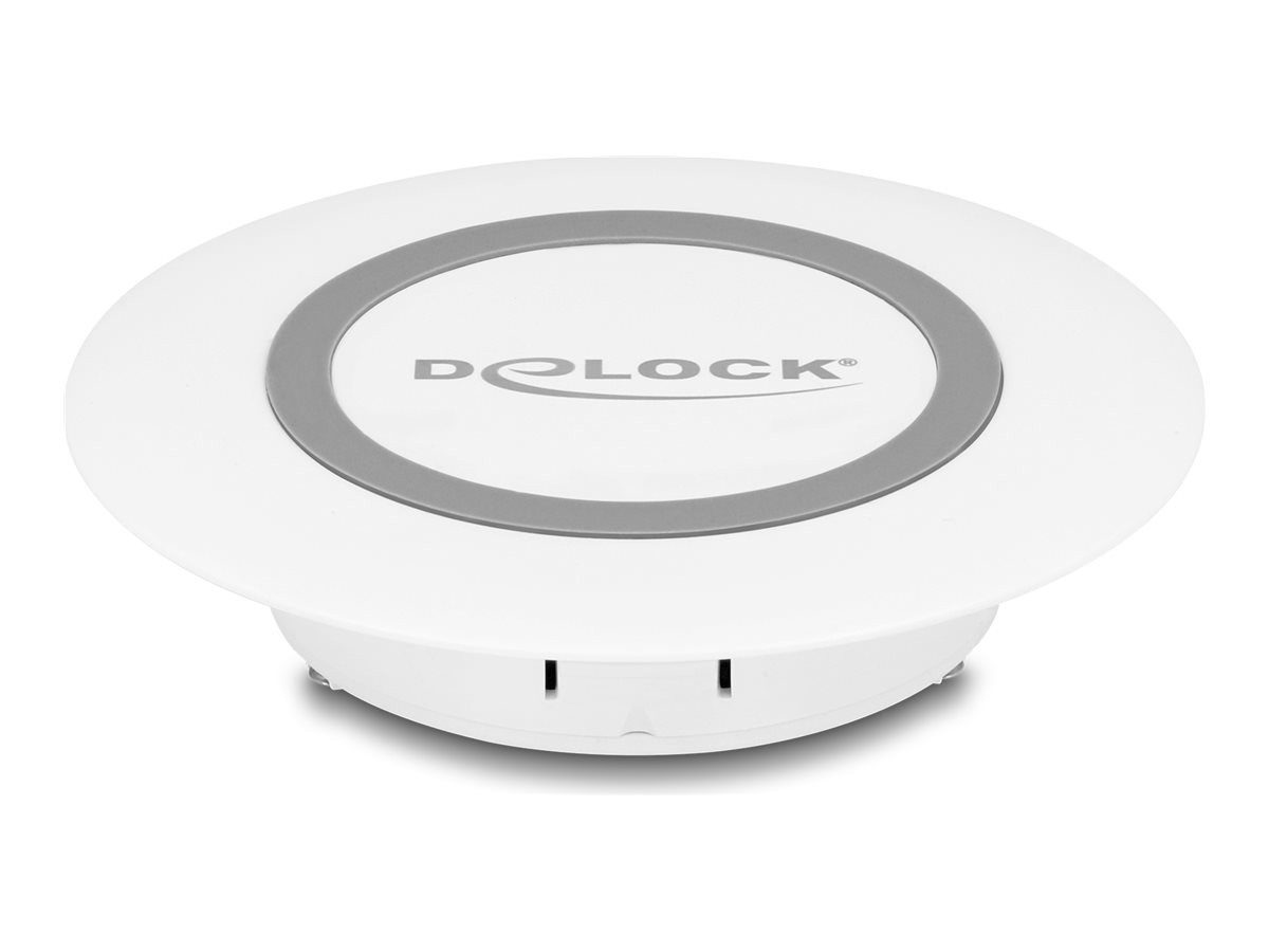 Delock RC-Ladegerät