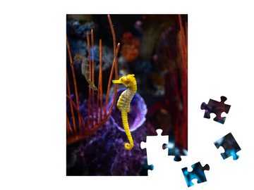 puzzleYOU Puzzle Seepferdchen im Aquarium, 48 Puzzleteile, puzzleYOU-Kollektionen Seepferdchen