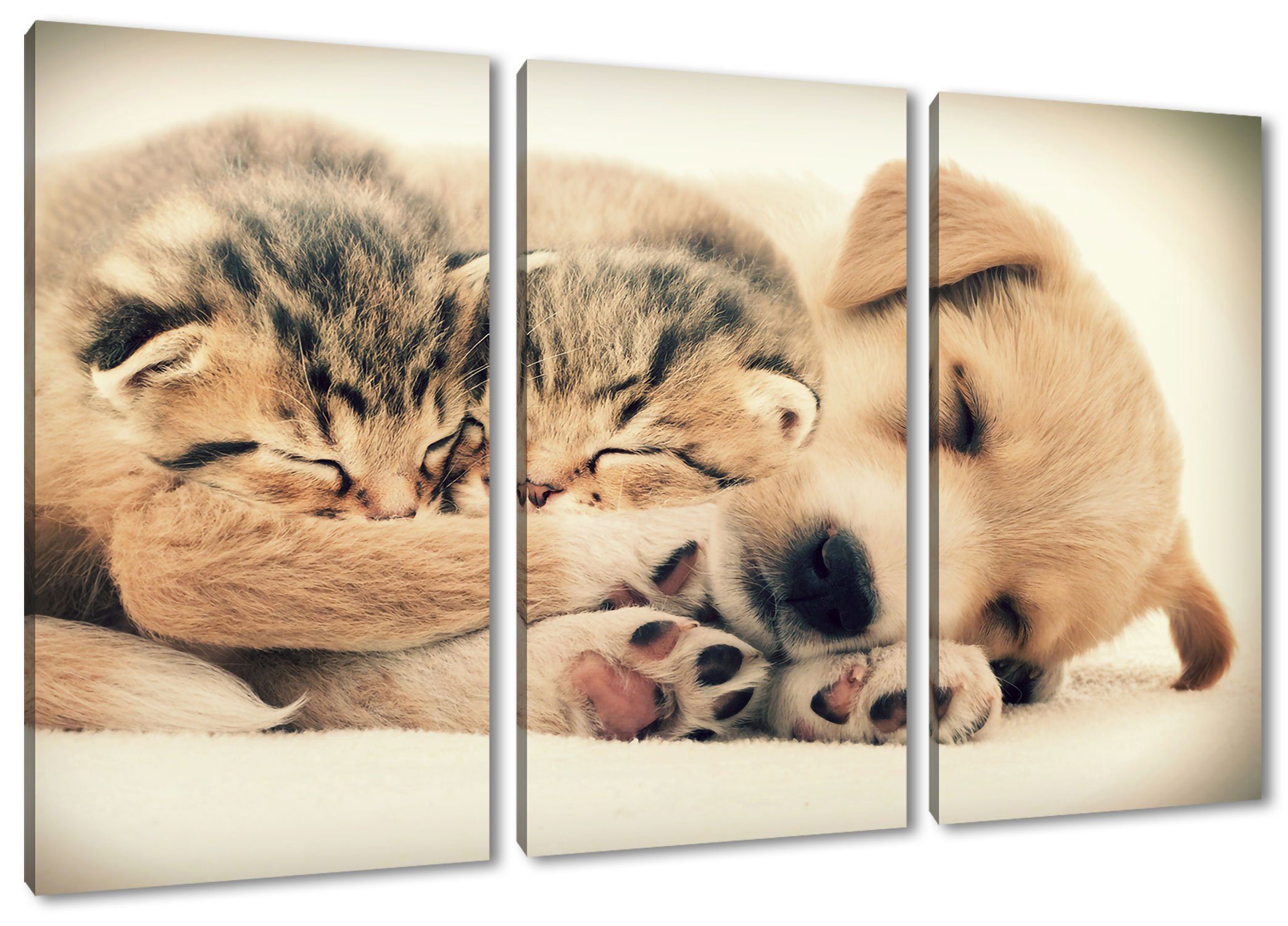 Pixxprint Leinwandbild Hundewelpe mit kleinen Kätzchen, Hundewelpe mit kleinen Kätzchen 3Teiler (120x80cm) (1 St), Leinwandbild fertig bespannt, inkl. Zackenaufhänger | Leinwandbilder