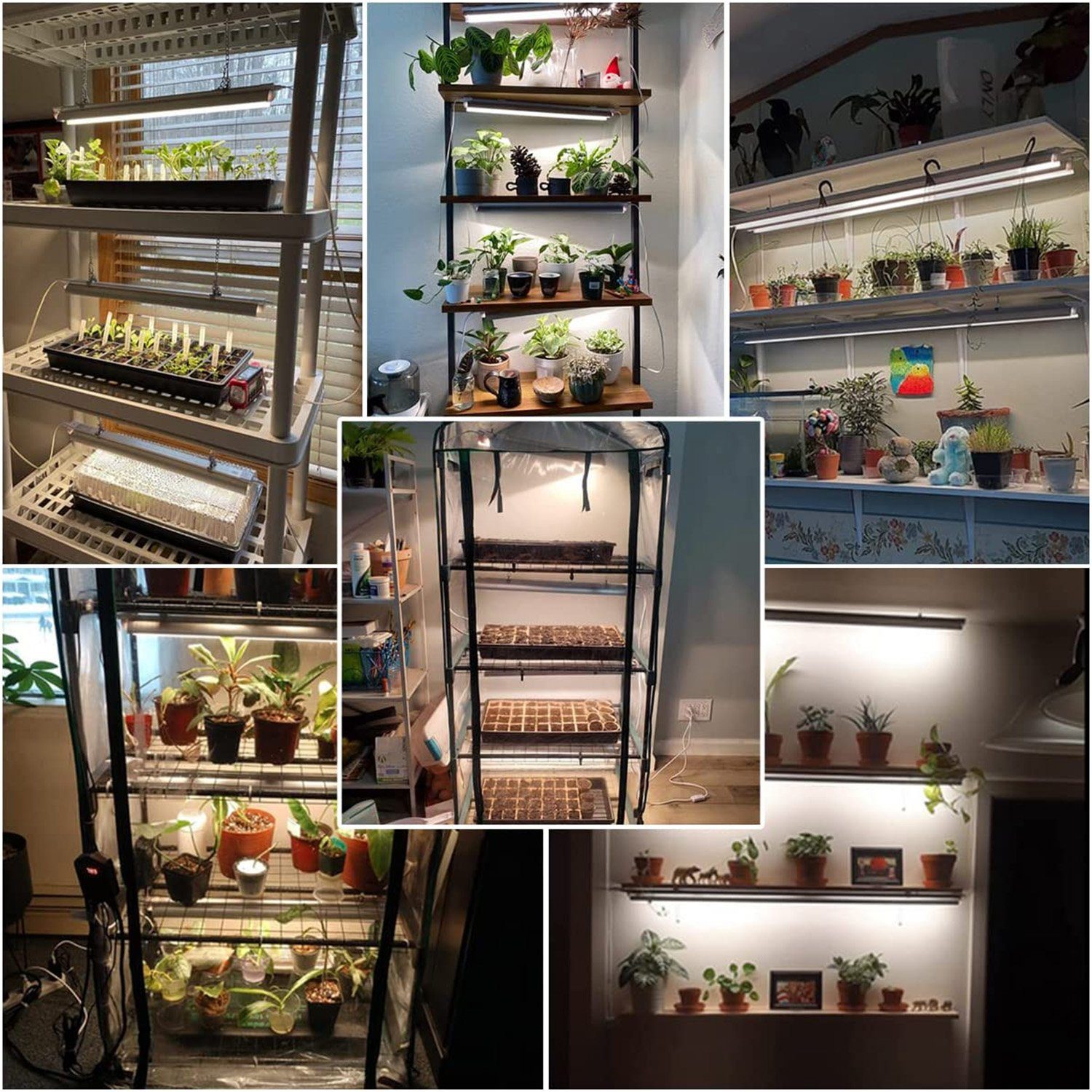 Rosnek Pflanzenlampe 2/4Stück*10W, 5000k Vollspektrum, anschließbar, für Indoor-Pflanzen, 5000K Voll-Sonne, mit V-förmigen Reflektor