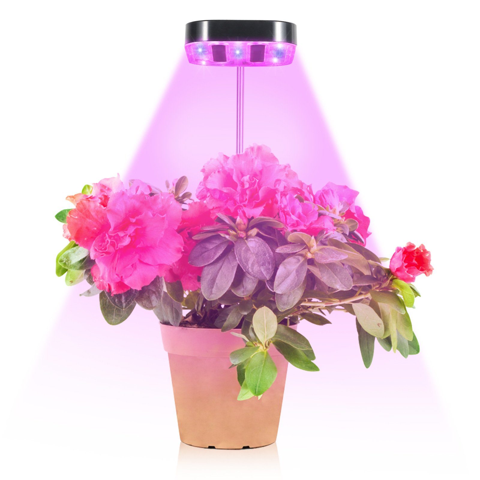 Sunicol Pflanzenlampe LED Vollspektrum, 1/2/4 Köpfe günstig online kaufen