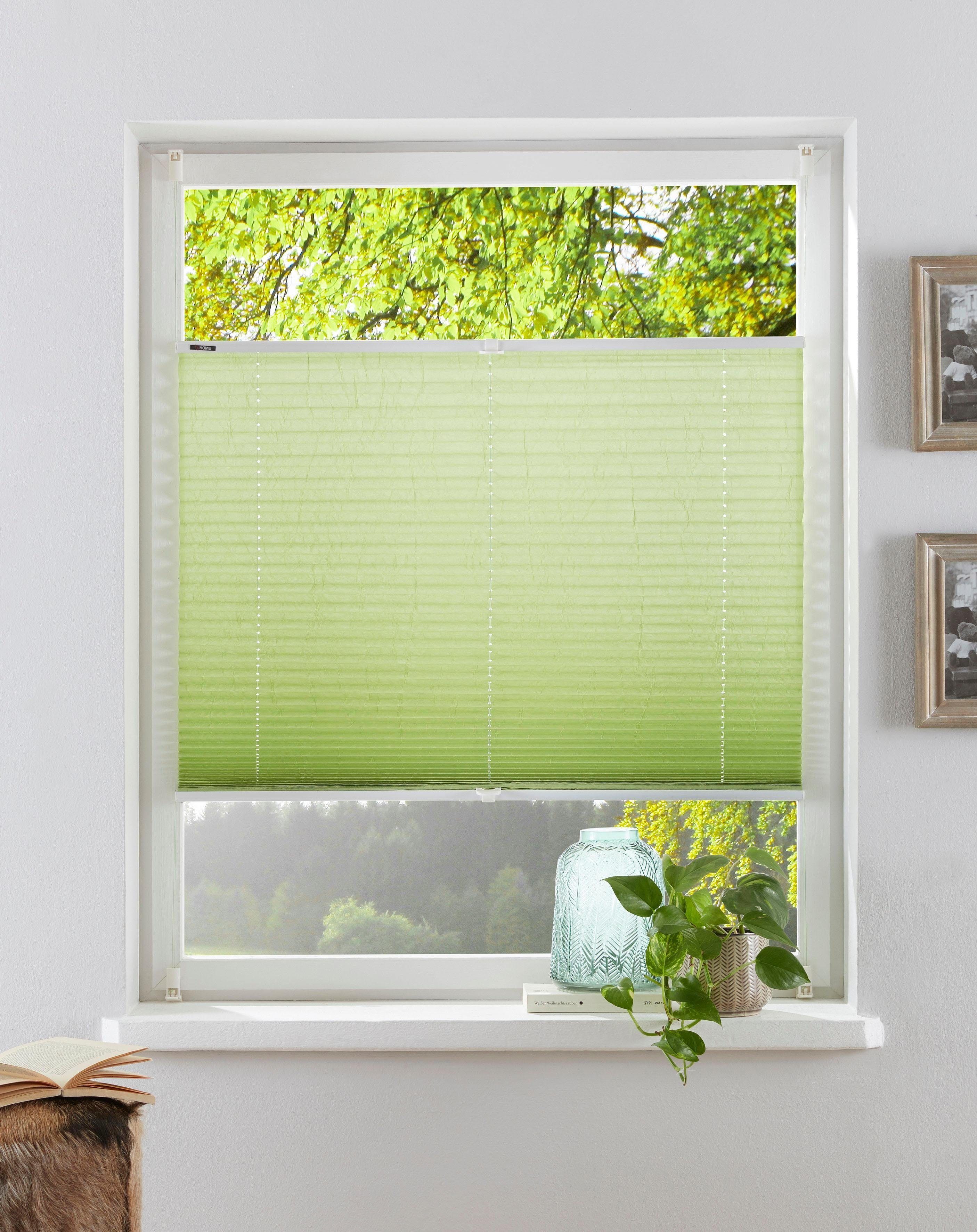 my home Plissee DAHRA - in Crush-Optik, Lichtschutz, ohne Bohren, verspannt günstig online kaufen