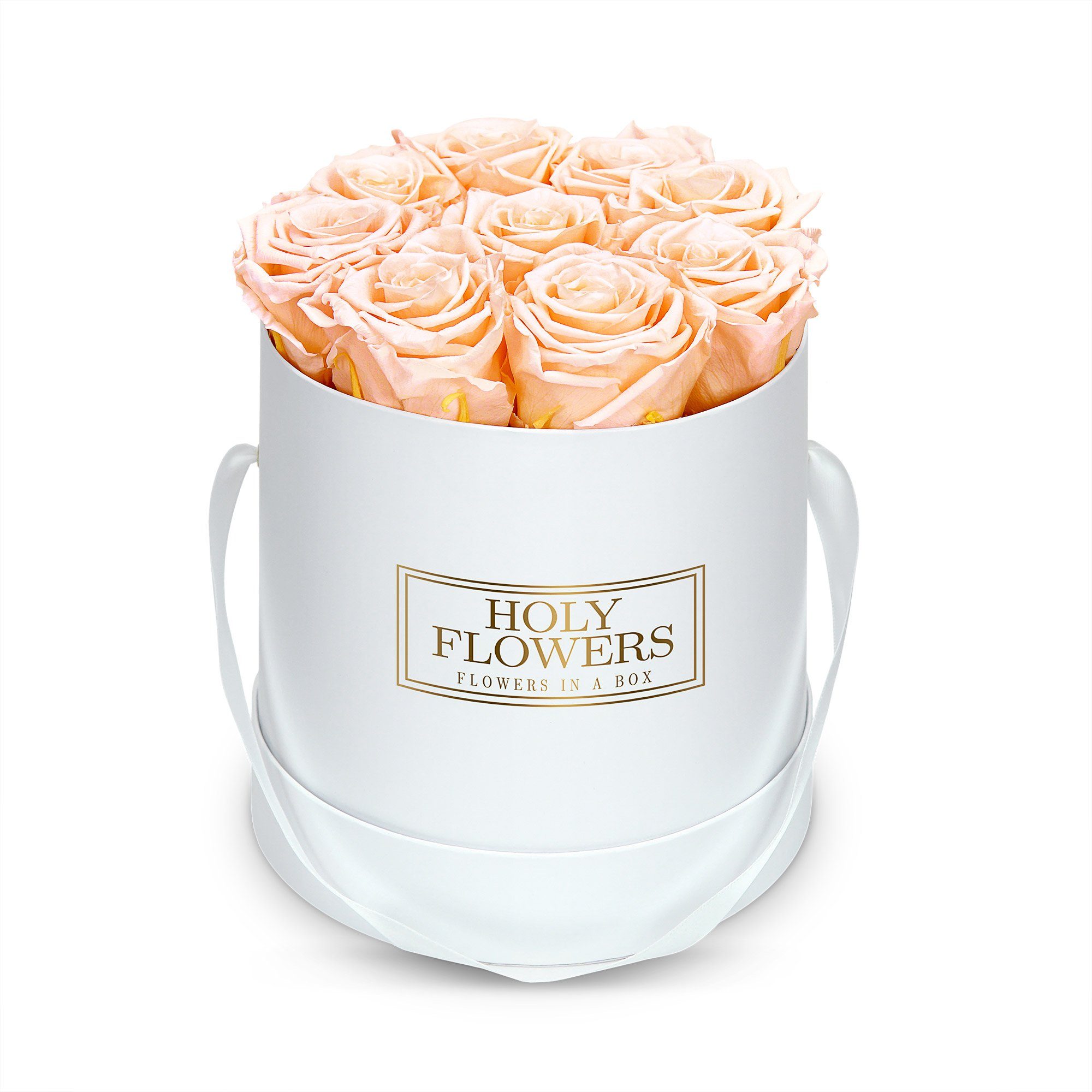 Petite Fleur Infinity Rosen Flowerbox S weiß langanhaltende farbenprächtige rosa Blüten 4 bis 5 konservierte Rosen quadratisch 10 x 15 cm