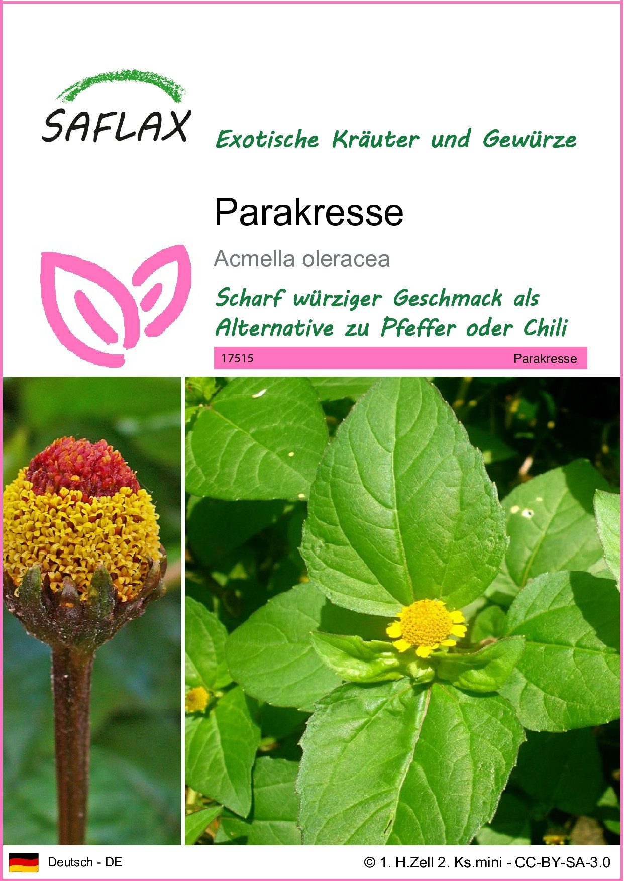 SAFLAX Kräutersamen SAFLAX - Samen - Parakresse