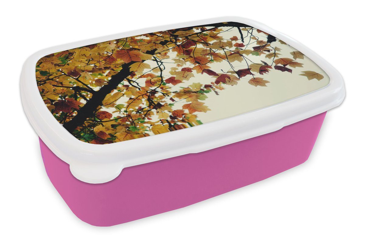 MuchoWow Lunchbox Bäume - Herbstblätter - Natur, Kunststoff, (2-tlg), Brotbox für Erwachsene, Brotdose Kinder, Snackbox, Mädchen, Kunststoff rosa