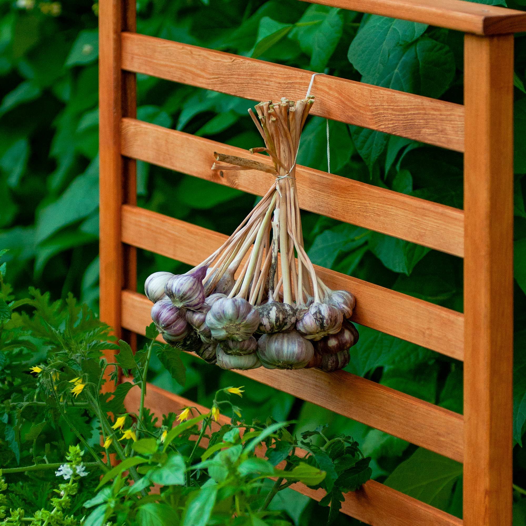 dobar Rankgitter Rankgitteraufsatz Kubus 2.0, Massivholz, Hellbraun, 78 x 5 x 78 cm (L x B x H)