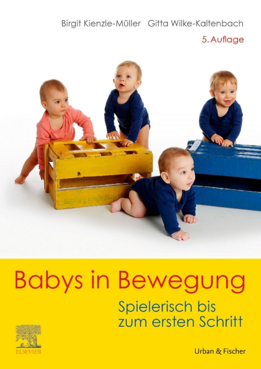 Babys in Bewegung / Birgit Kienzle-Müller, Gitta Wilke-Kaltenbach
