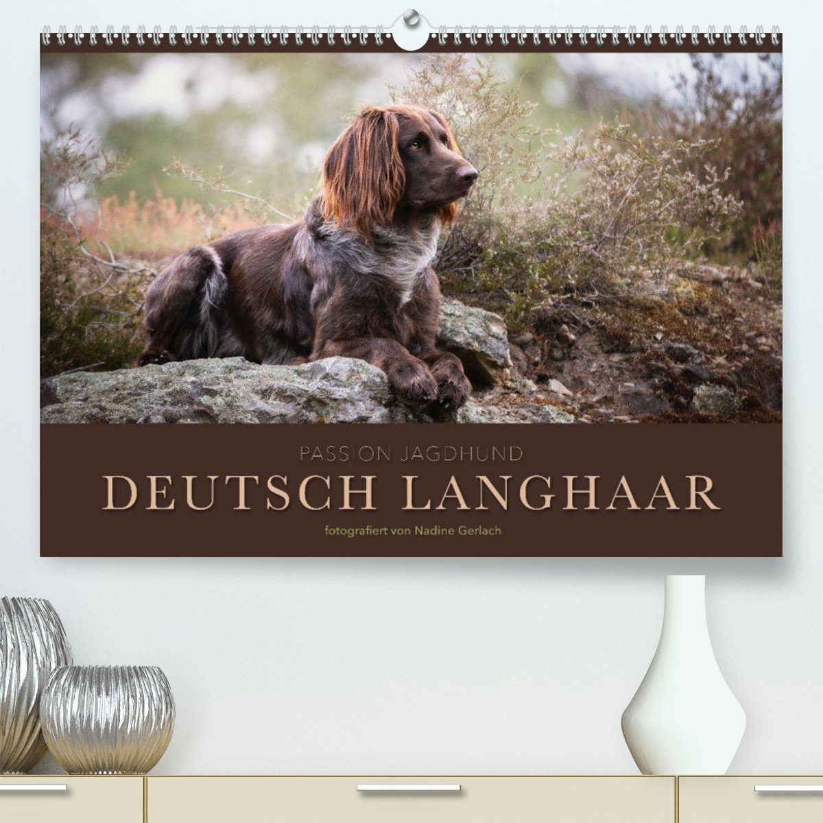 CALVENDO Wandkalender Passion Jagdhund - Deutsch Langhaar (Premium, hochwertiger DIN A2 Wandkalender 2023, Kunstdruck in Hochglanz)