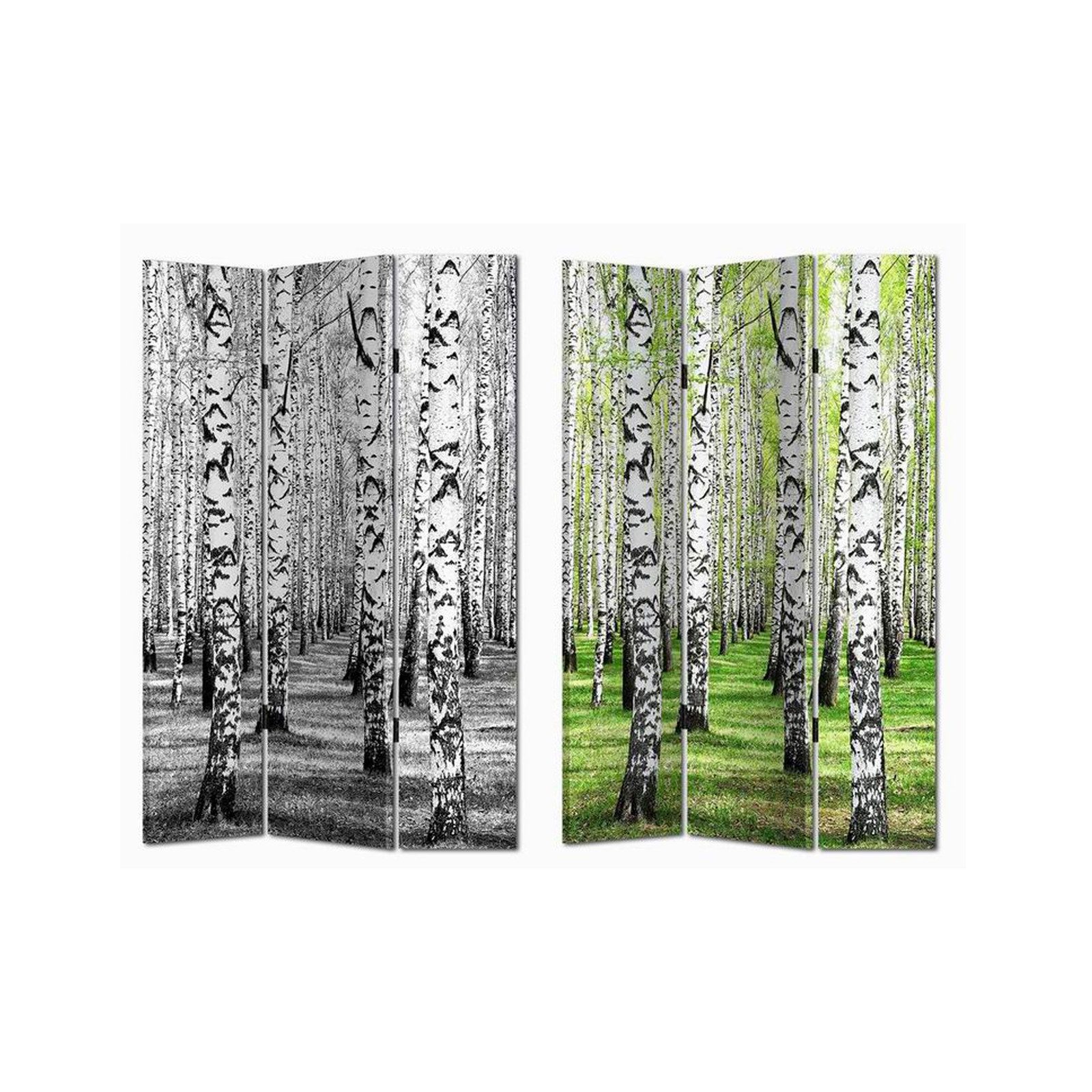 HTI-Line Paravent Paravent Birkenwald (Stück, 1 St., 1 Pravent), Raumteiler Sichtschutz Trennwand