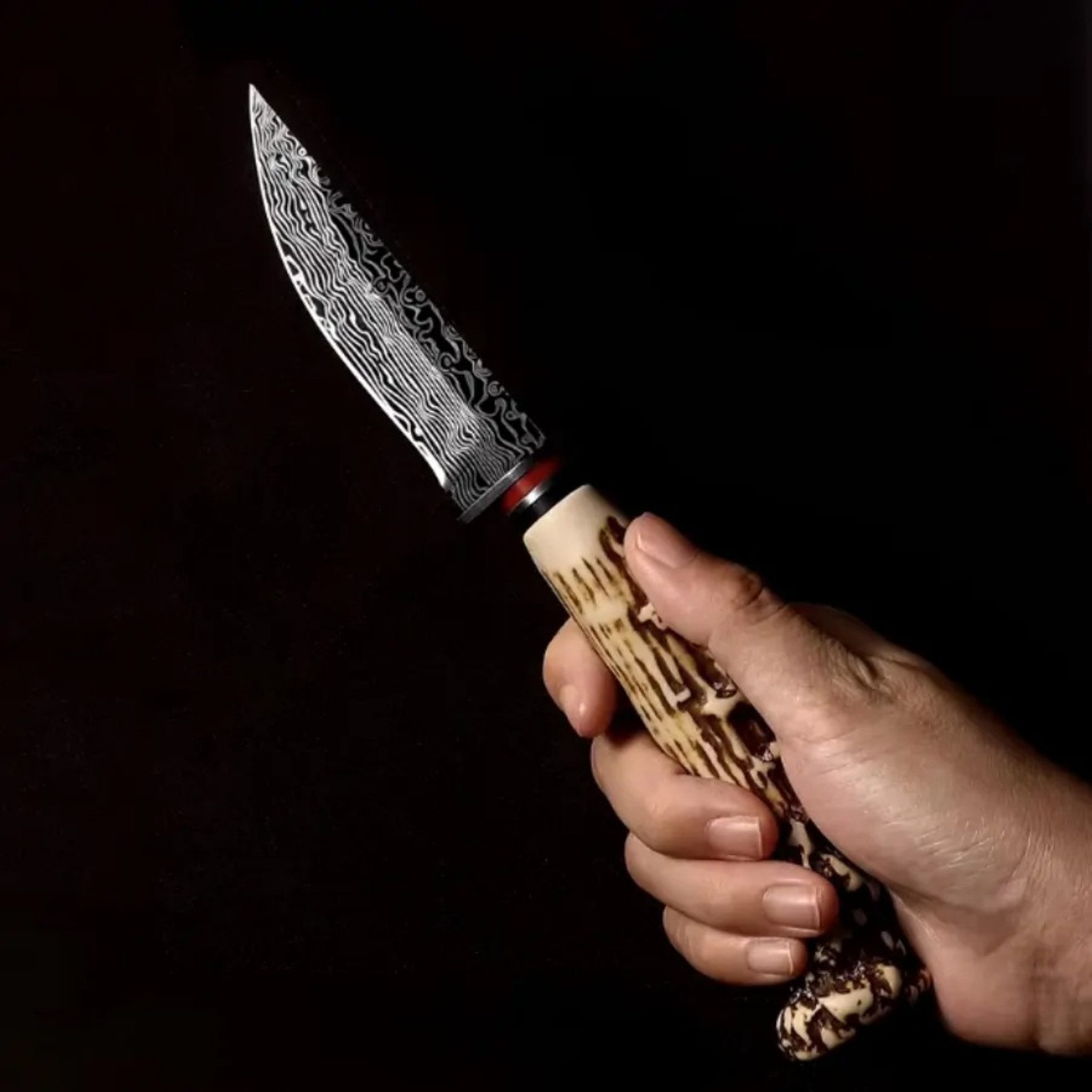 Foxter Taschenmesser Jagdmesser Geweihgriff – Outdoor Messer 24cm Gürtelhol günstig online kaufen