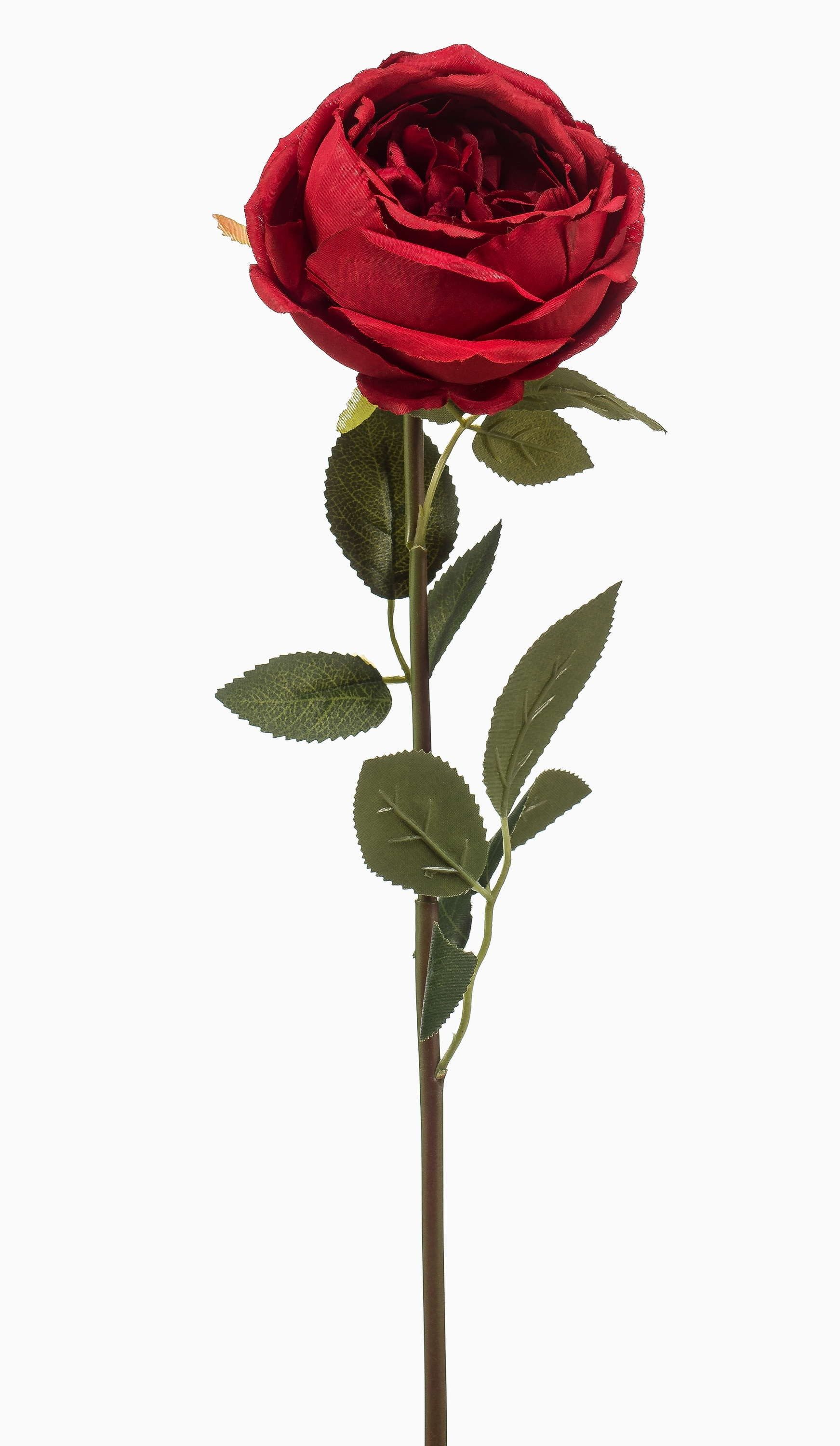 Kunstblume Kunst Rose THYRI, rot, 65cm Rose, artplants, Höhe 65.0 cm