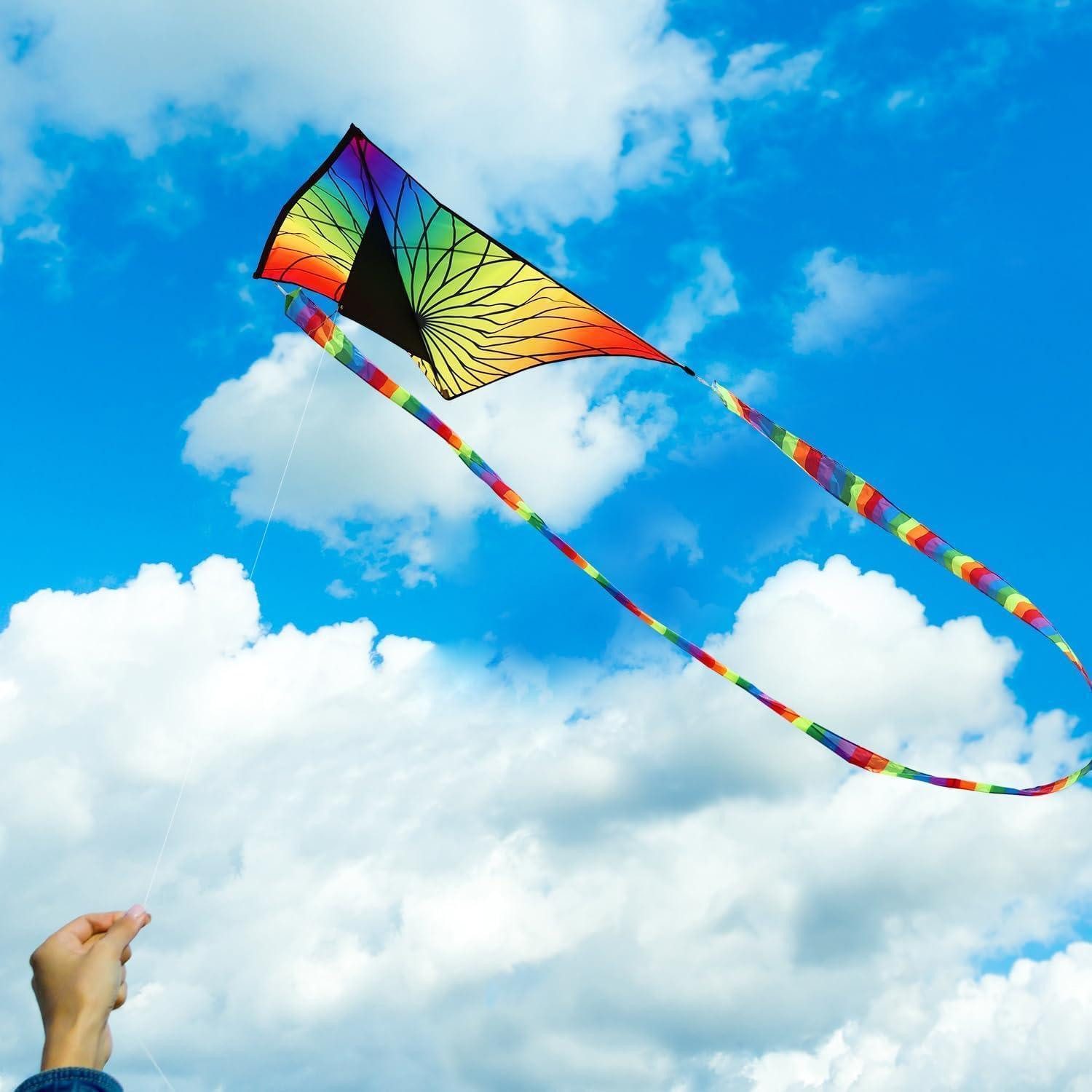 LuxusKollektion Kite Drachen Delta Kinder Erwachsene Anfänger Leine Flower