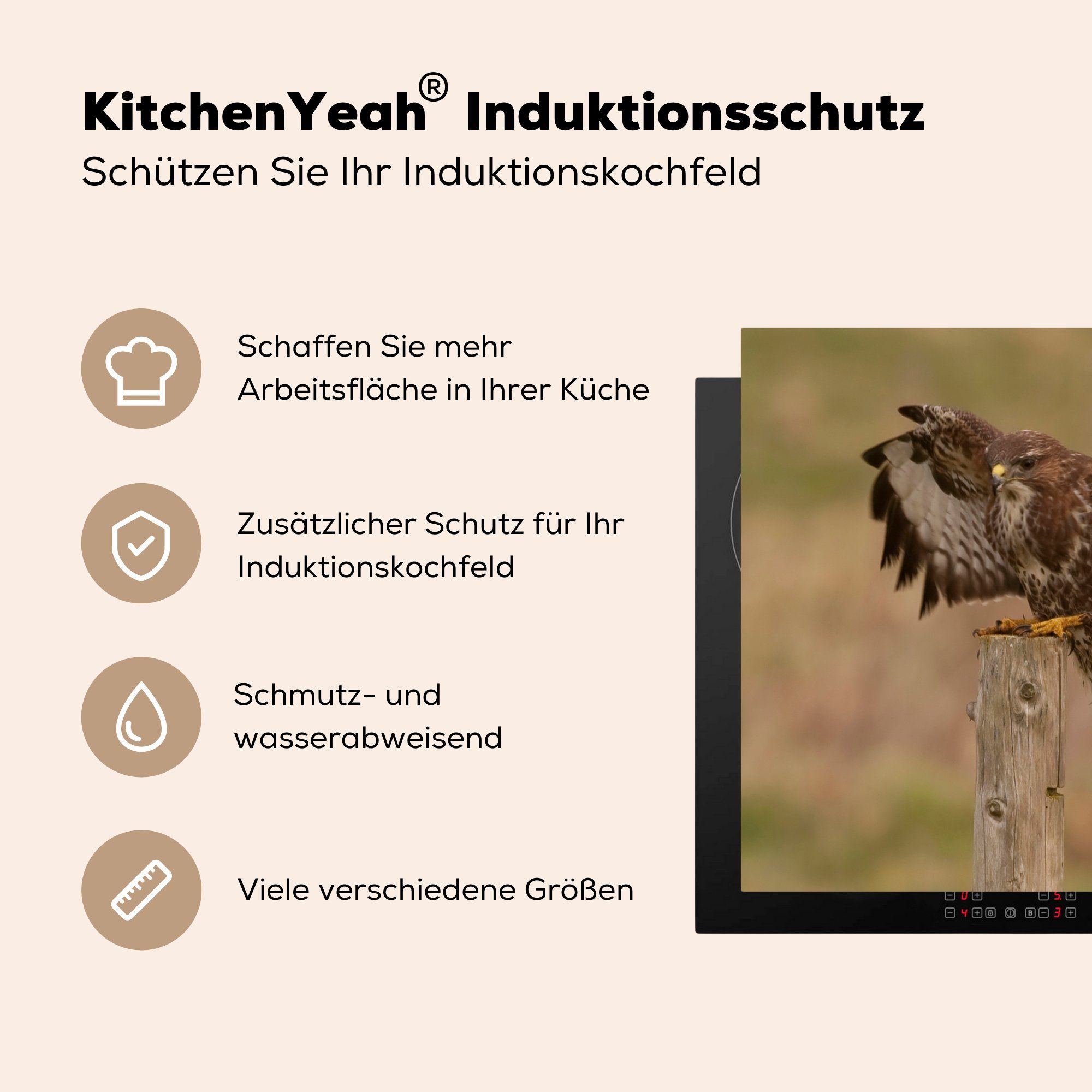 MuchoWow Herdblende-/Abdeckplatte Bussard - Vogel küche Arbeitsplatte tlg), Vinyl, 78x78 (1 Ceranfeldabdeckung, Pfahl, für cm, 