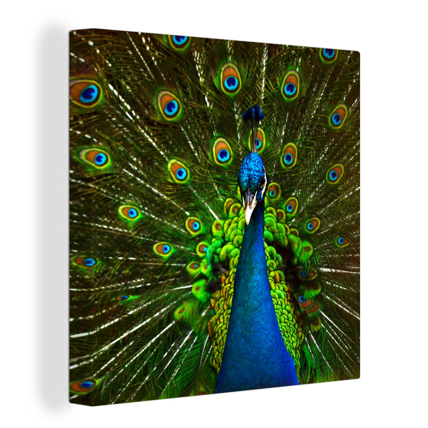 OneMillionCanvasses® Leinwandbild Pfau - Federn - Muster - Blau, (1 St), Leinwand Bilder für Wohnzimmer Schlafzimmer