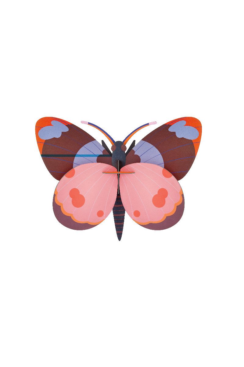studio ROOF Wanddekoobjekt 3D Bellissima Schmetterling günstig online kaufen