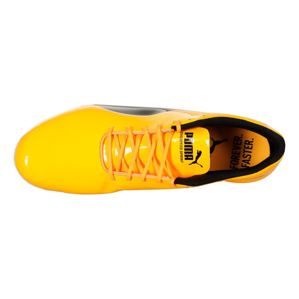 PUMA Evospeed Sprint 14.5 - Spikeschuh Laufschuh