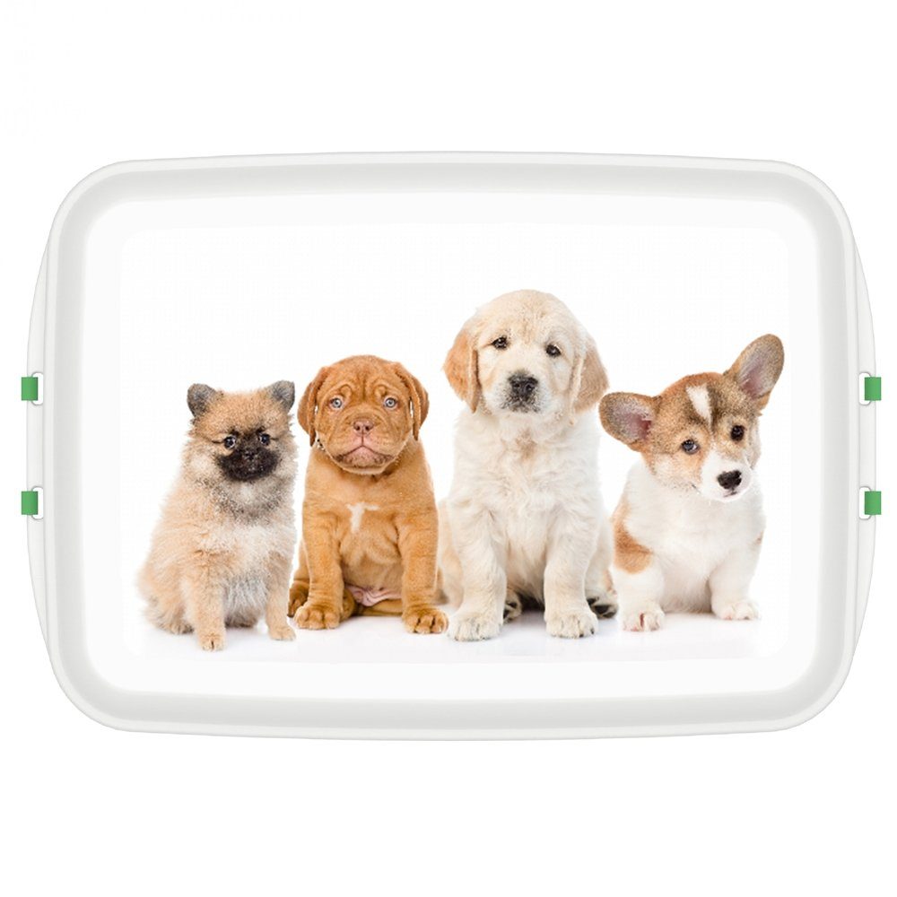 Biodora Lunchbox Lunchbox mit Druck Katze oder Hund