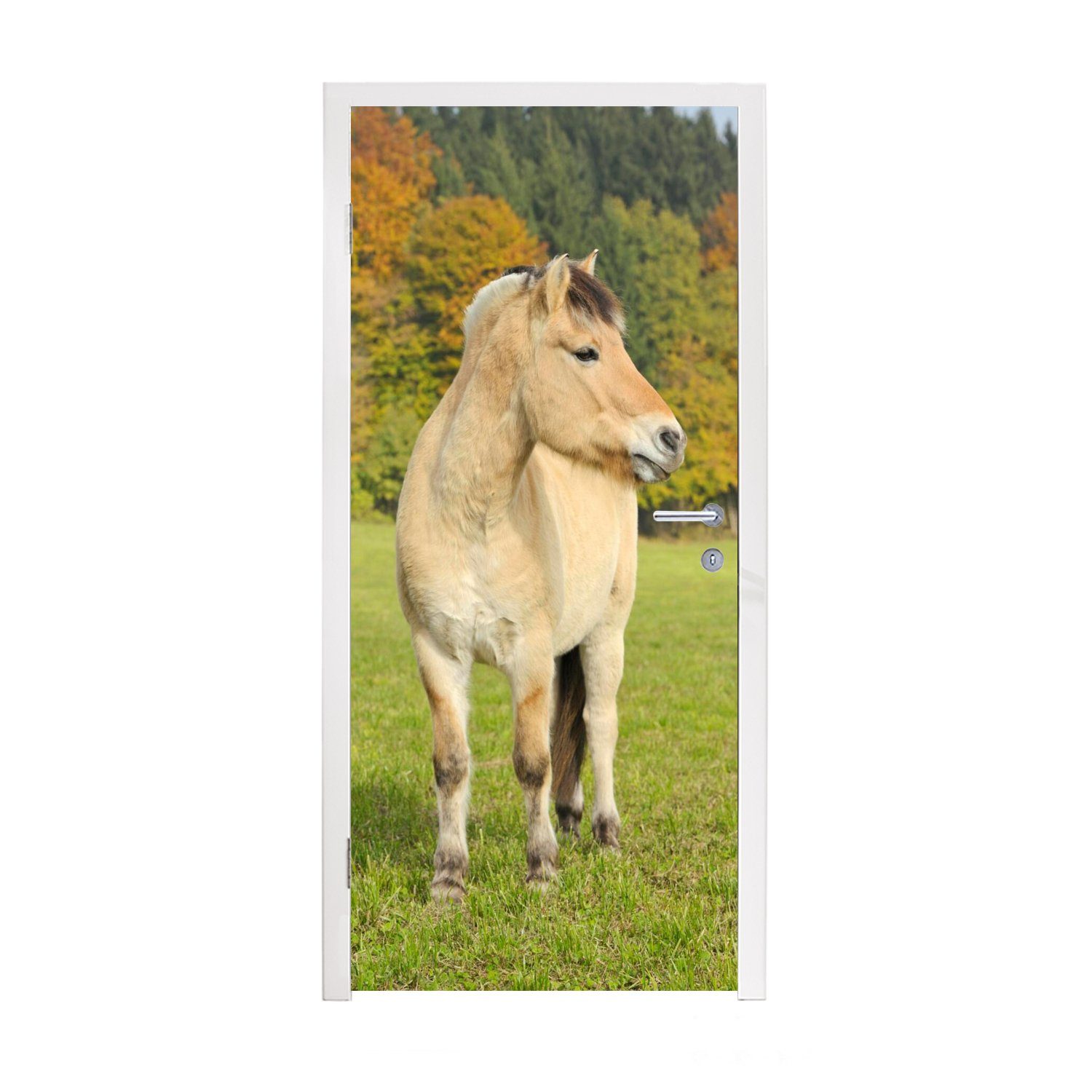 MuchoWow Türtapete Fjordpferd in einer Herbstlandschaft, Matt, bedruckt, (1 St), Fototapete für Tür, Türaufkleber, 75x205 cm