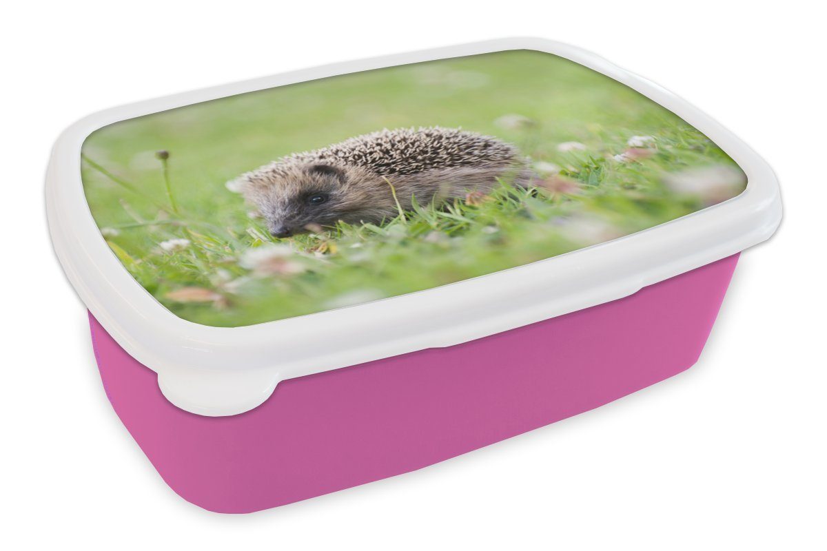 Igel für rosa Lunchbox Snackbox, MuchoWow Kunststoff, im Kleiner Gras, Kinder, Mädchen, Erwachsene, Kunststoff Brotdose (2-tlg), Brotbox