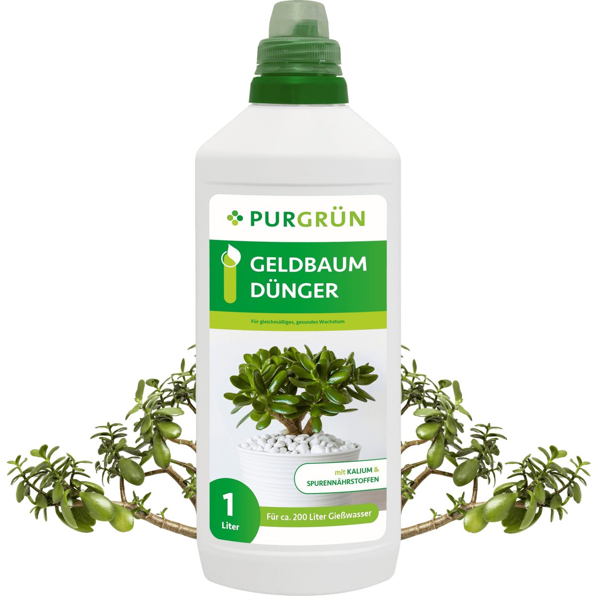 Purgrün Universaldünger, Flüssigdünger, GeldbaumDünger 1 Liter