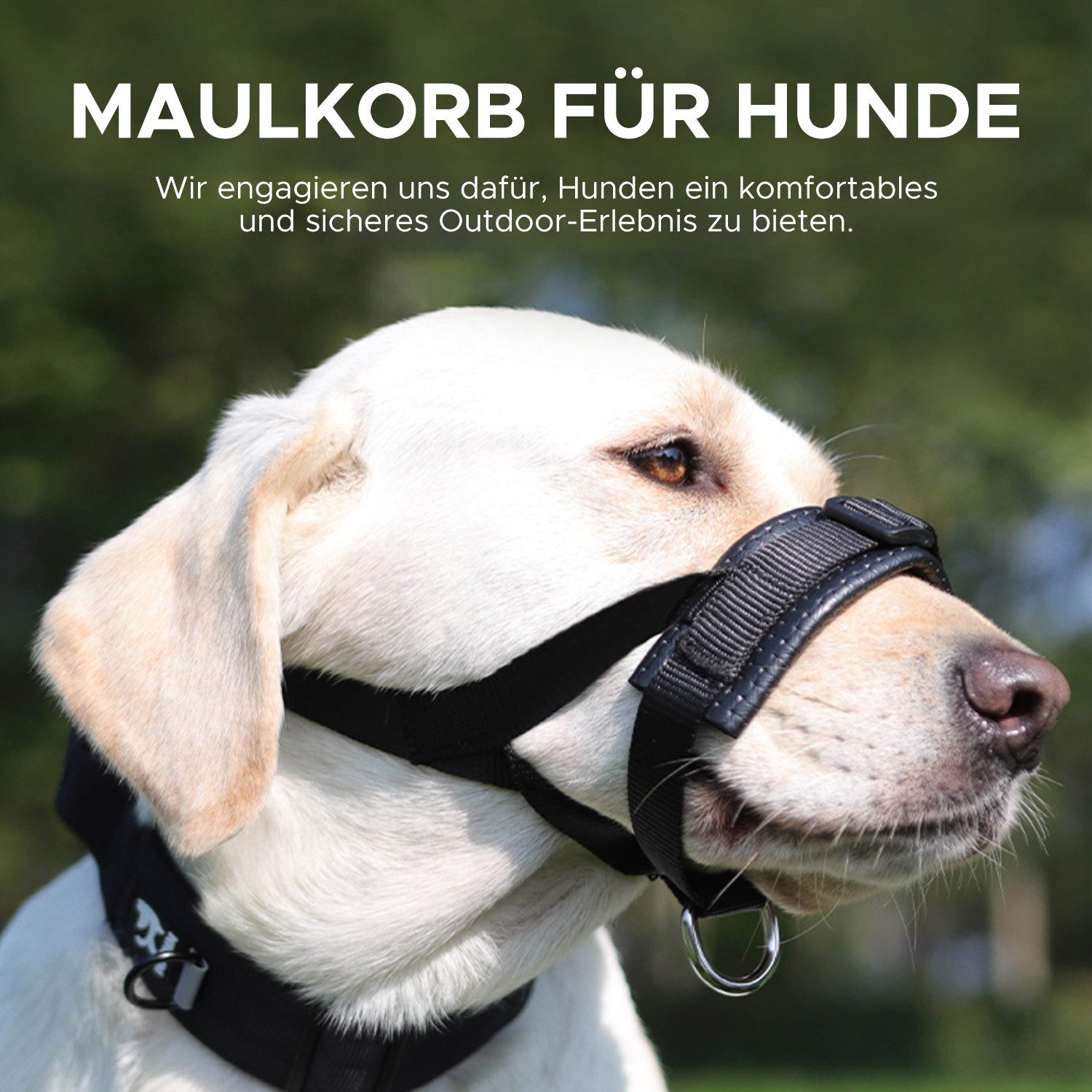 Refttenw Maulkorb Hund Maulkorb mit Kopfriemen, Verstellbare Schlaufe -Schwarz