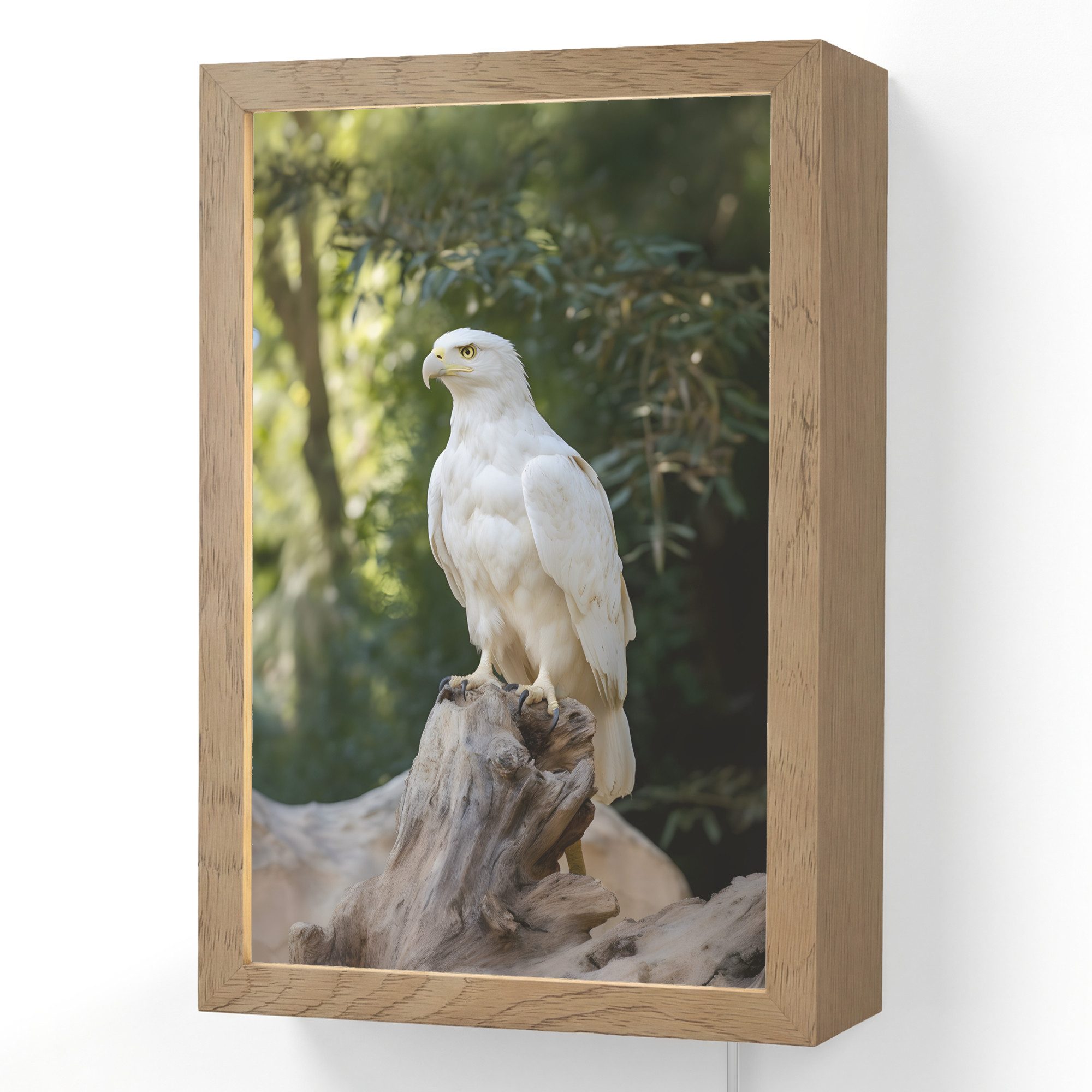 OnlyWow Wandleuchte Lightbox Adler - Holz - Weiß - Pflanzen, Dimmbar, Farbwechsel, LED, Warmweiß, Kaltweiß, Neutralweiß Einstellbar, Wandlampe Innen, Dimmbar, mit Kabel, LED, Beleuchtung, Wohnzimmer