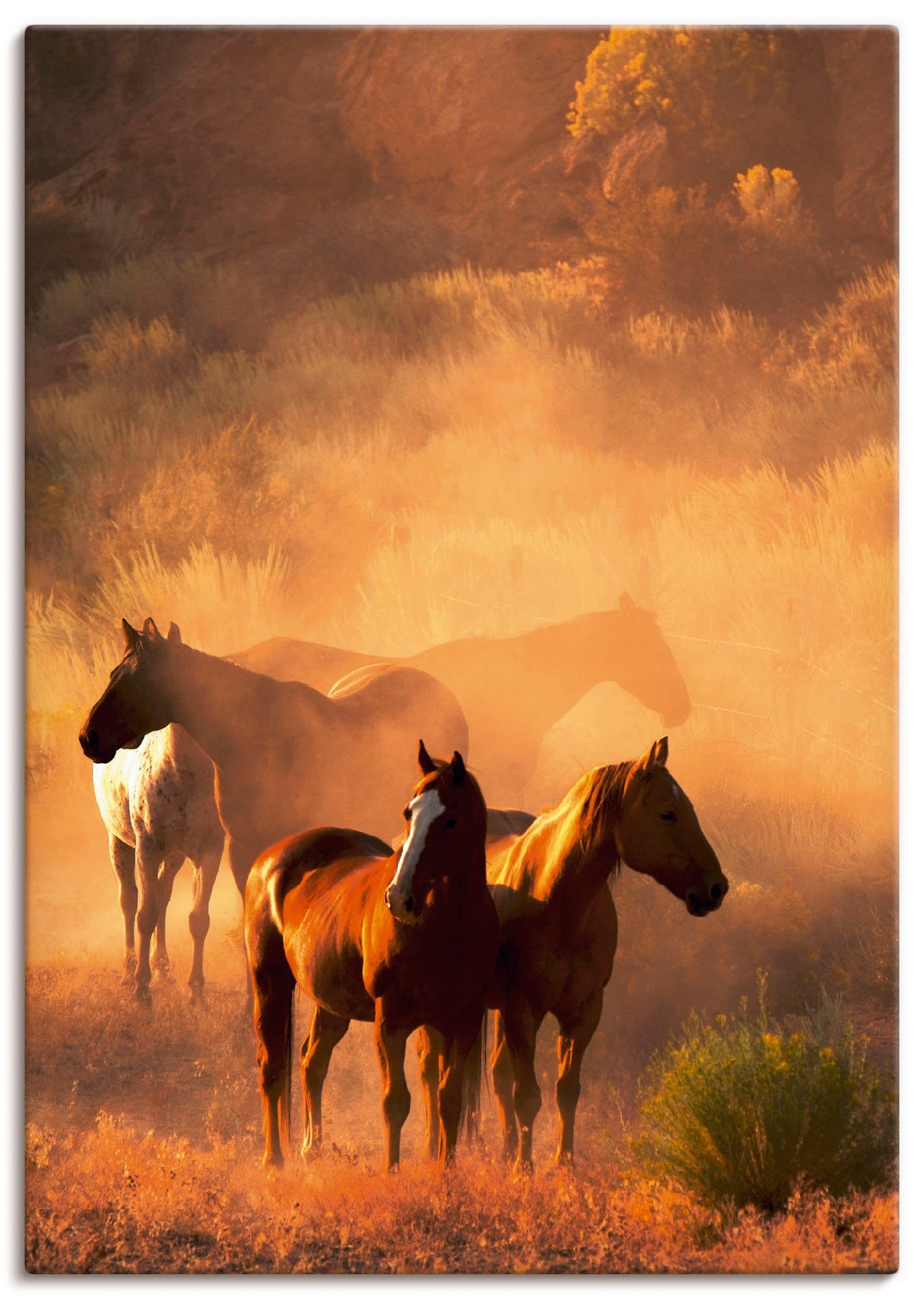 Artland Leinwandbild Friedliche Versammlung - Pferde, Haustiere (1 St), auf Keilrahmen gespannt