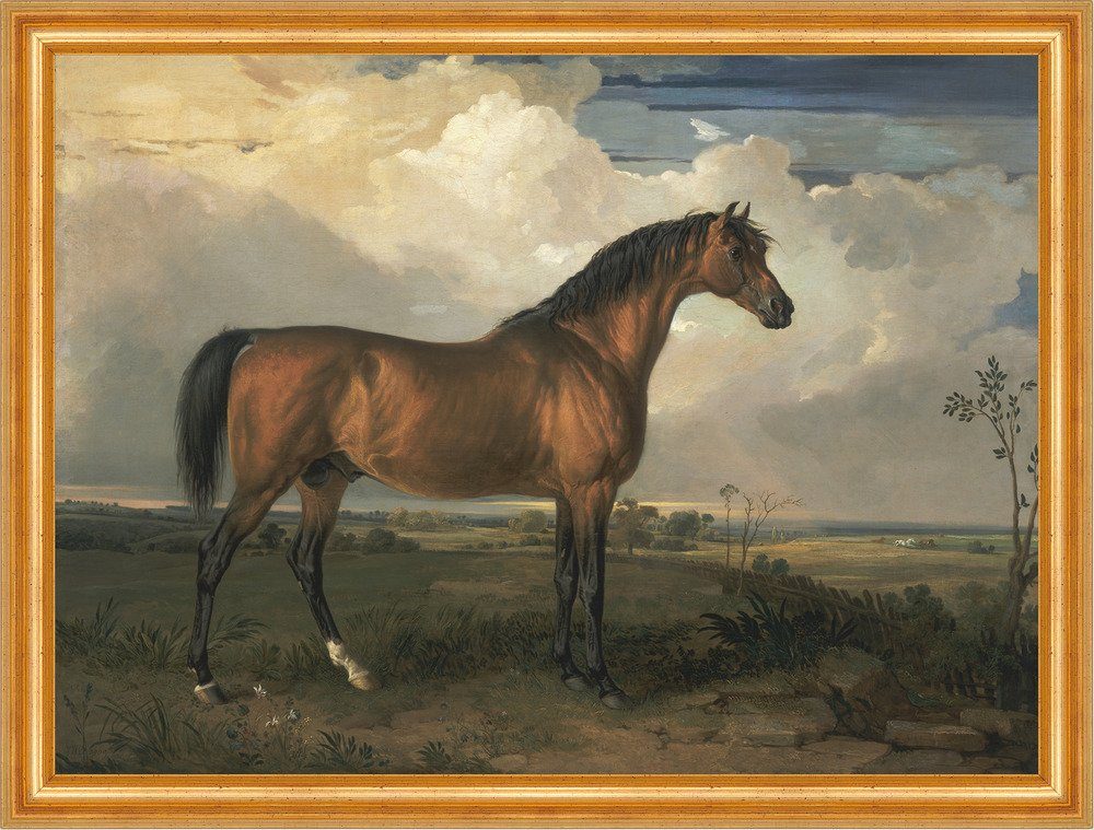 BillerAntik Eagle, a Celebrated Stallion James Ward Pferde Weide Wolken B A3 00061, (1 St)