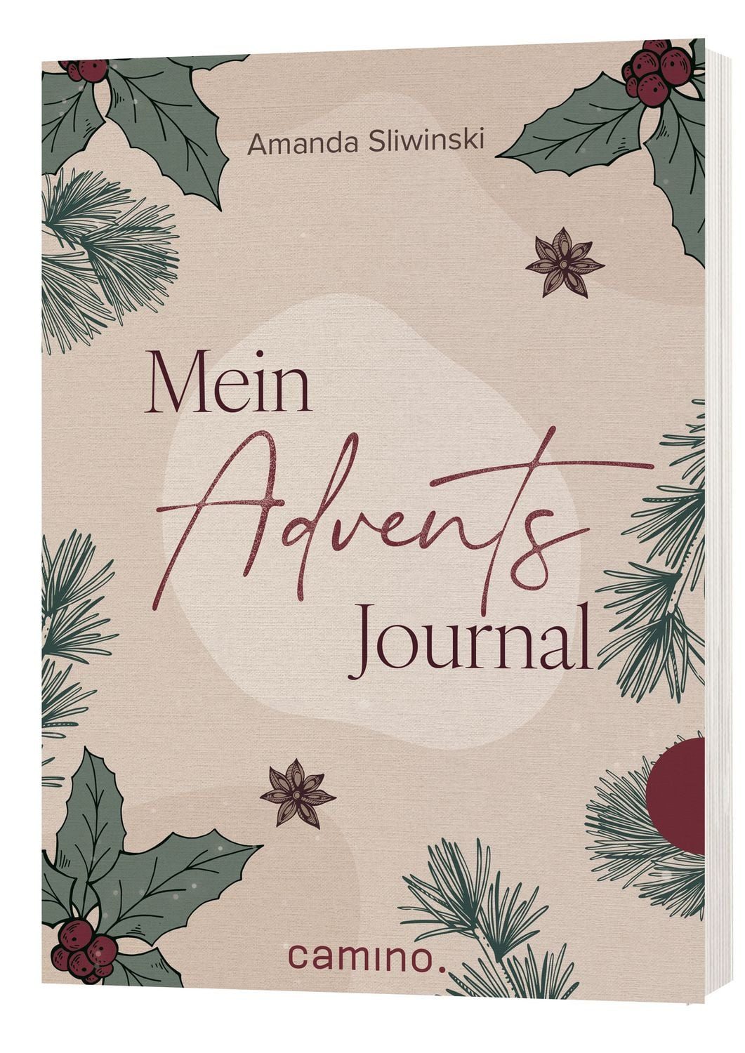 Mein Advents-Journal / Amanda Sliwinski