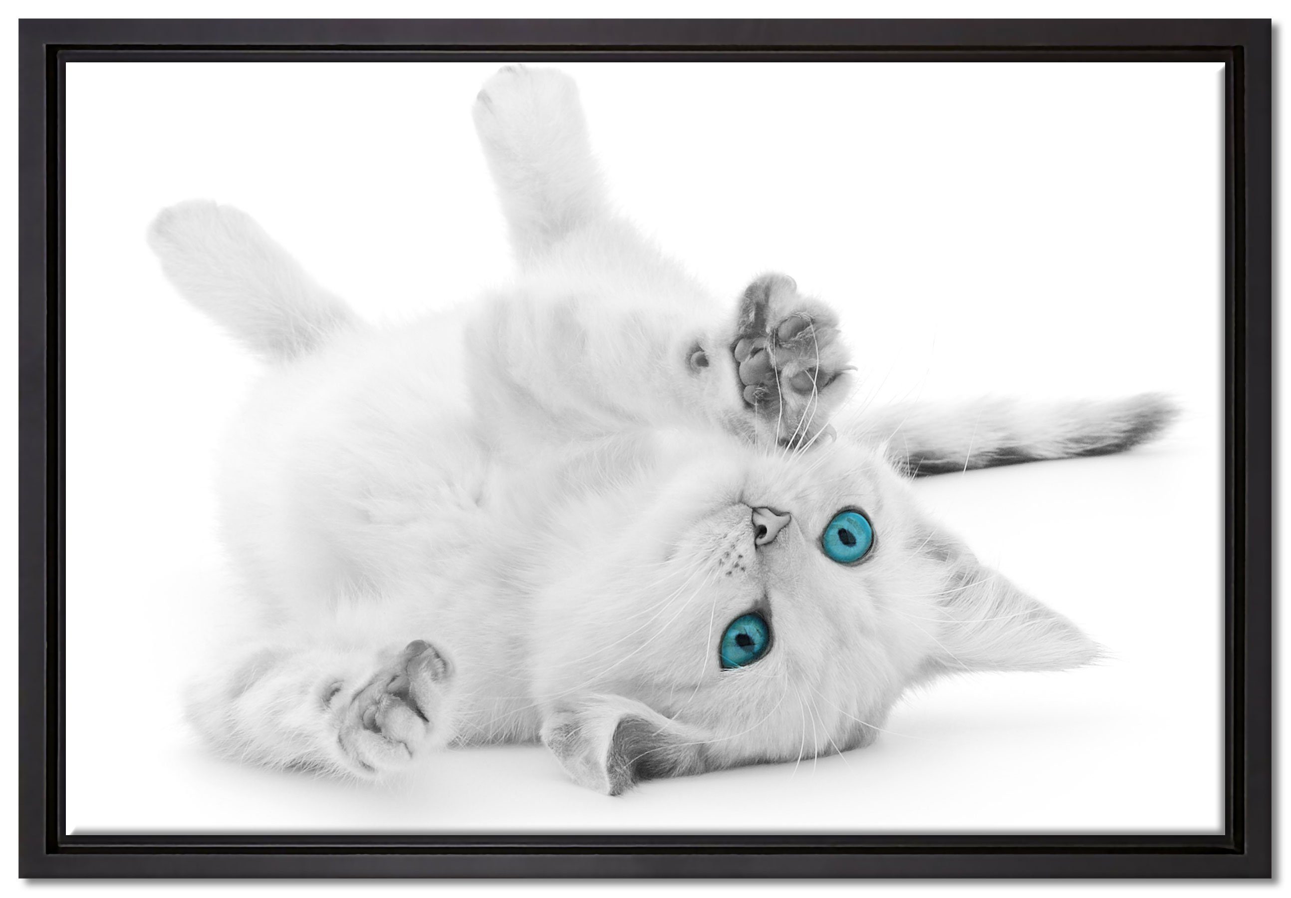 Schattenfugen-Bilderrahmen Zackenaufhänger bespannt, (1 einem Leinwandbild Augen, Wanddekoration inkl. Katze in St), Pixxprint gefasst, fertig mit Leinwandbild