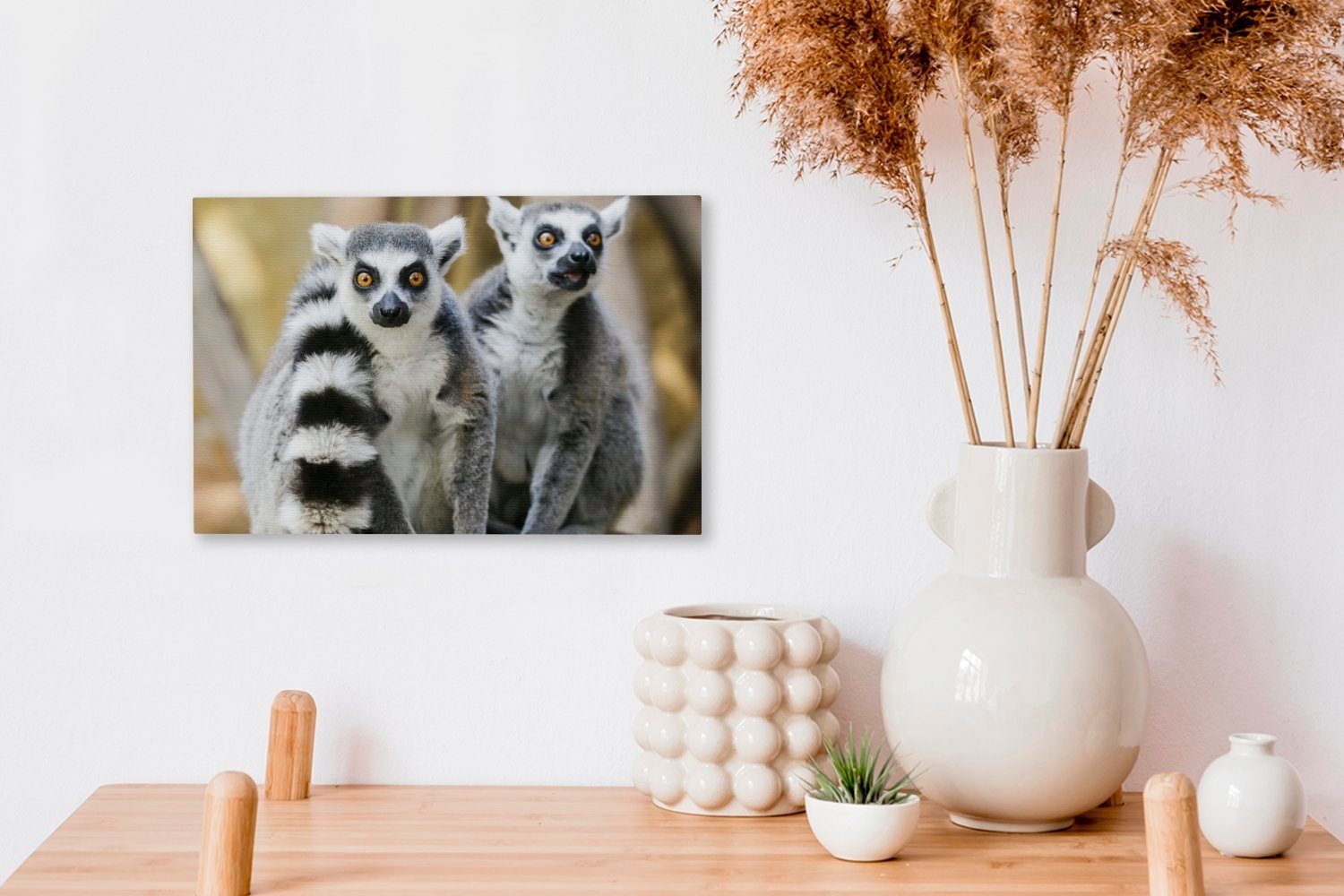 OneMillionCanvasses® Leinwandbild Affe - Ringschwanzlemur Wanddeko, Wandbild 30x20 cm Leinwandbilder, Aufhängefertig, St), - (1 Tier