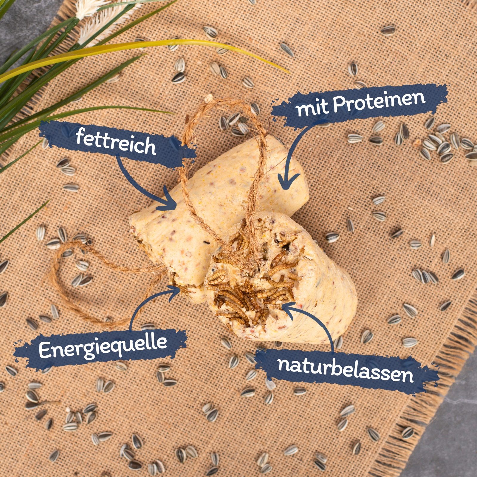 Lyra Pet 12 Stk. Lyra Pet® Protein Boost Körner Riegel mit Mehlwürmern, für: Wildvogel