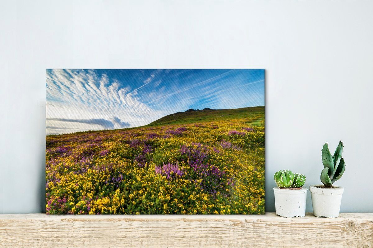 St), Wildblumen OneMillionCanvasses® cm Coast National Pembrokeshire im Leinwandbild Wandbild Aufhängefertig, Park (1 in Wanddeko, England, 30x20 Leinwandbilder,