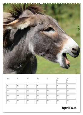 CALVENDO Wandkalender Süße Esel. Langohren zum Verlieben (Premium, hochwertiger DIN A2 Wandkalender 2023, Kunstdruck in Hochglanz)