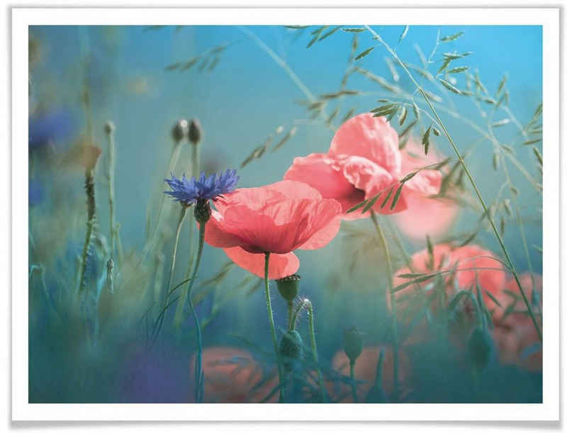 Wall-Art Poster Wildblumen Aquamarin, Blumen (Set, 1 St), Poster ohne Bilderrahmen