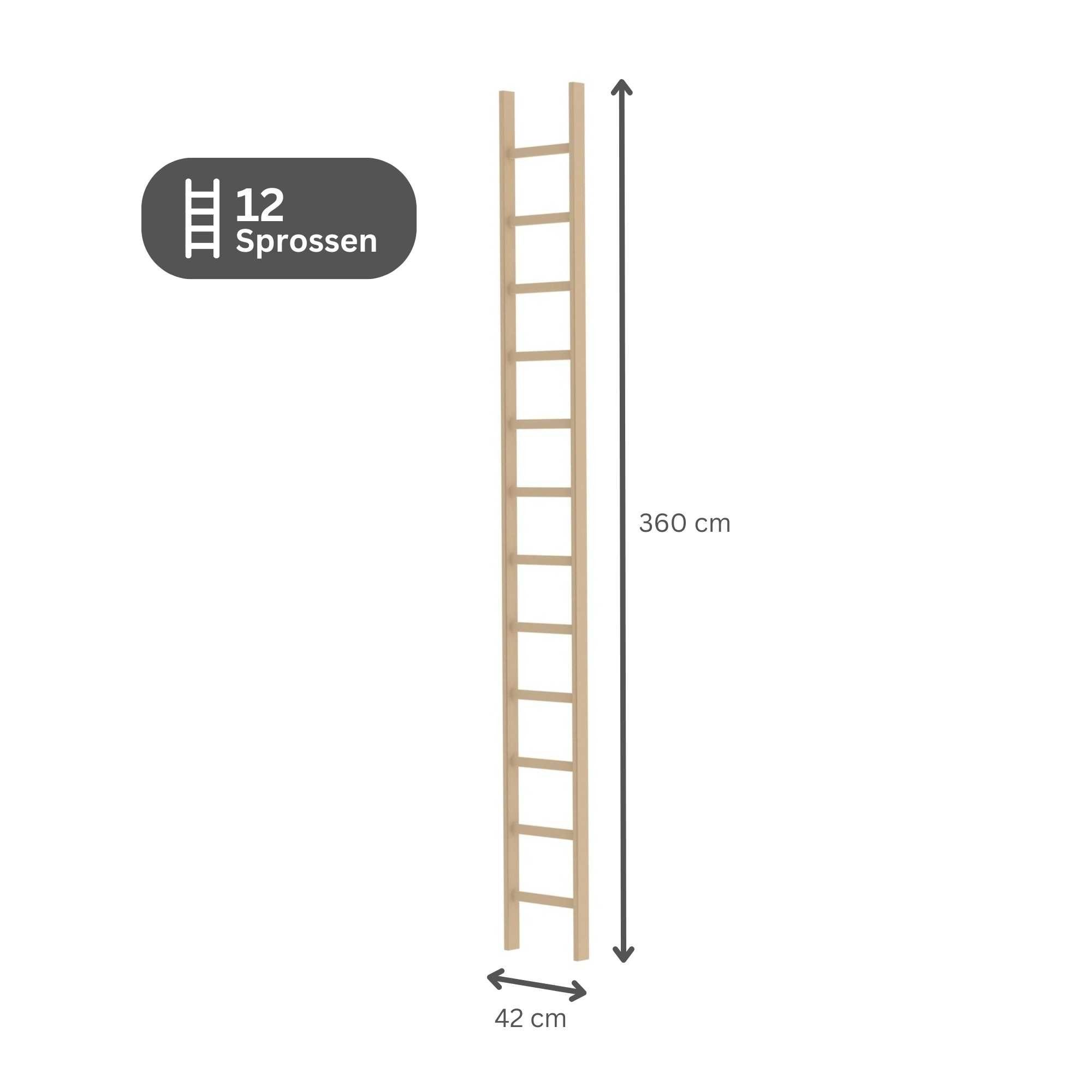 Thumbnail - PROREGAL® Anlegeleiter Sprossen-Anlegeleiter Holz ohne Traverse 12 Sprossen
