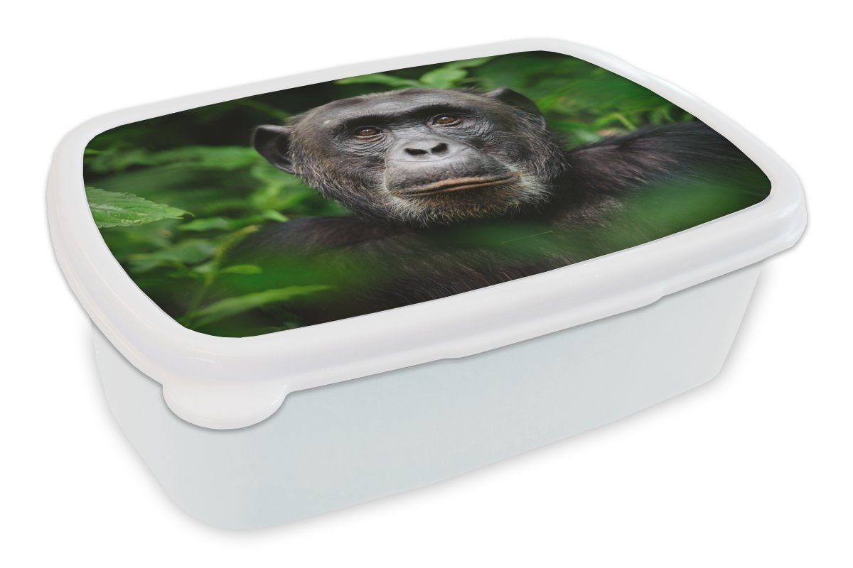 MuchoWow Lunchbox Affe - Blätter - Porträt, Kunststoff, (2-tlg), Brotbox für Kinder und Erwachsene, Brotdose, für Jungs und Mädchen weiß