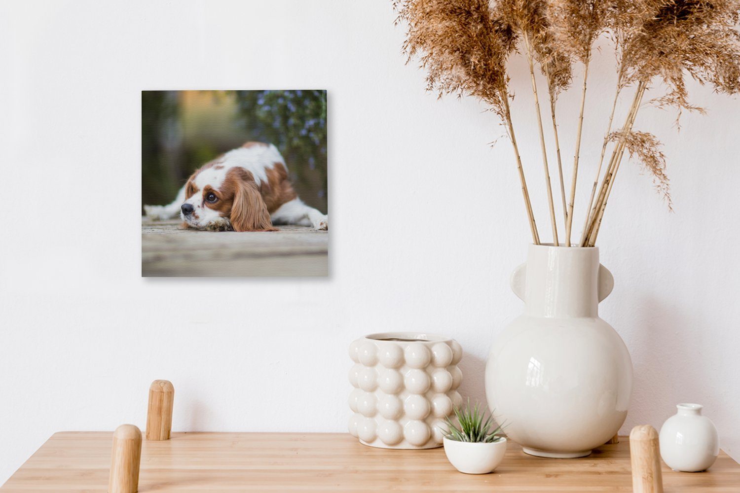 OneMillionCanvasses® Leinwandbild Cavalier für liegend, Holztisch Wohnzimmer auf Schlafzimmer Leinwand einem Spaniel Bilder (1 St), King Charles