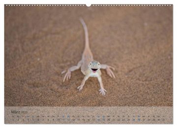 CALVENDO Wandkalender Die Wüste lebt! - Der LIVING DESERT Kalender 2023 (Premium, hochwertiger DIN A2 Wandkalender 2023, Kunstdruck in Hochglanz)