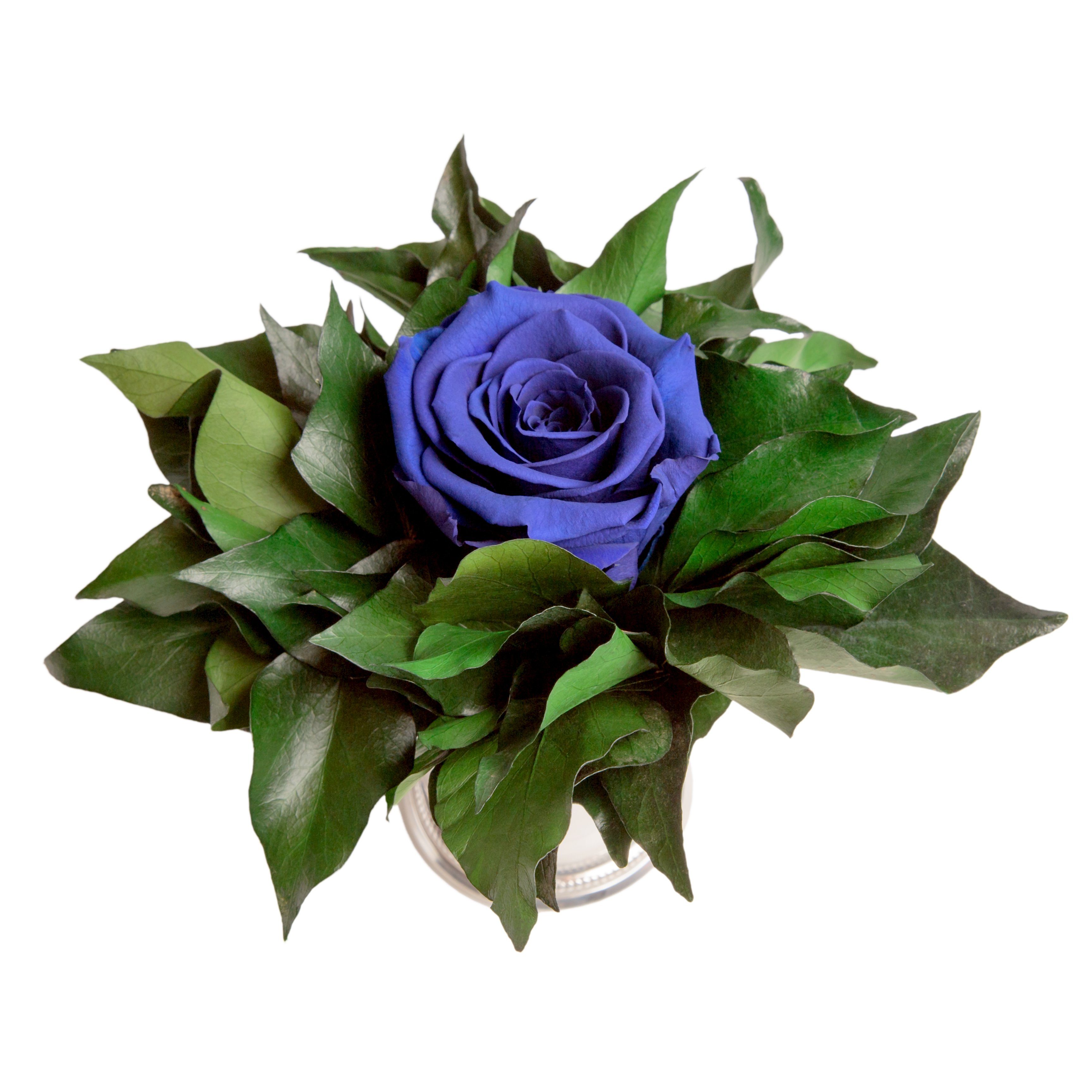 Blume lange Geschenkidee silberfarben 1 Künstliche Frauen SCHULZ haltbar Höhe Becher Blau für Infinity Zimmerpflanze 12 cm, Echte ROSEMARIE Rose Rose, Heidelberg,